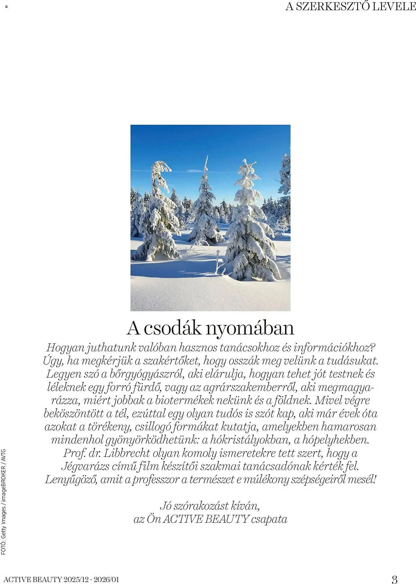 Katalógus DM akciós újság december 18.-tól január 31.-ig 2026. - Oldal 3