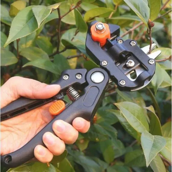 Professzionális oltó olló készlet