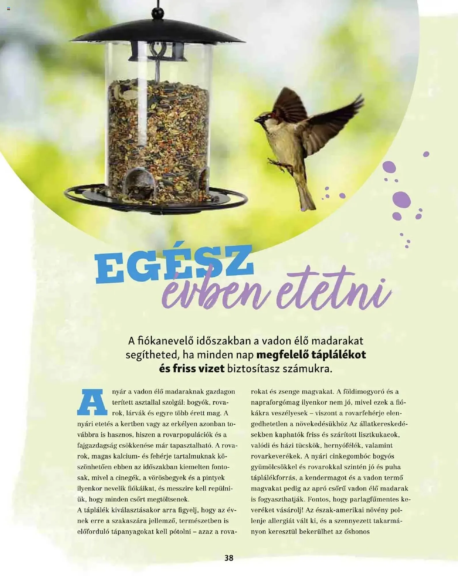 Katalógus Fressnapf akciós újság május 5.-tól május 13.-ig 2025. - Oldal 38