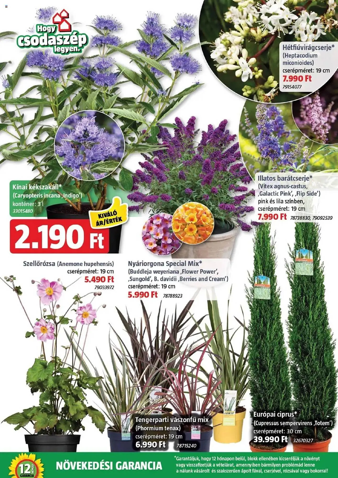 Katalógus Bauhaus akciós újság augusztus 7.-tól szeptember 2.-ig 2025. - Oldal 15