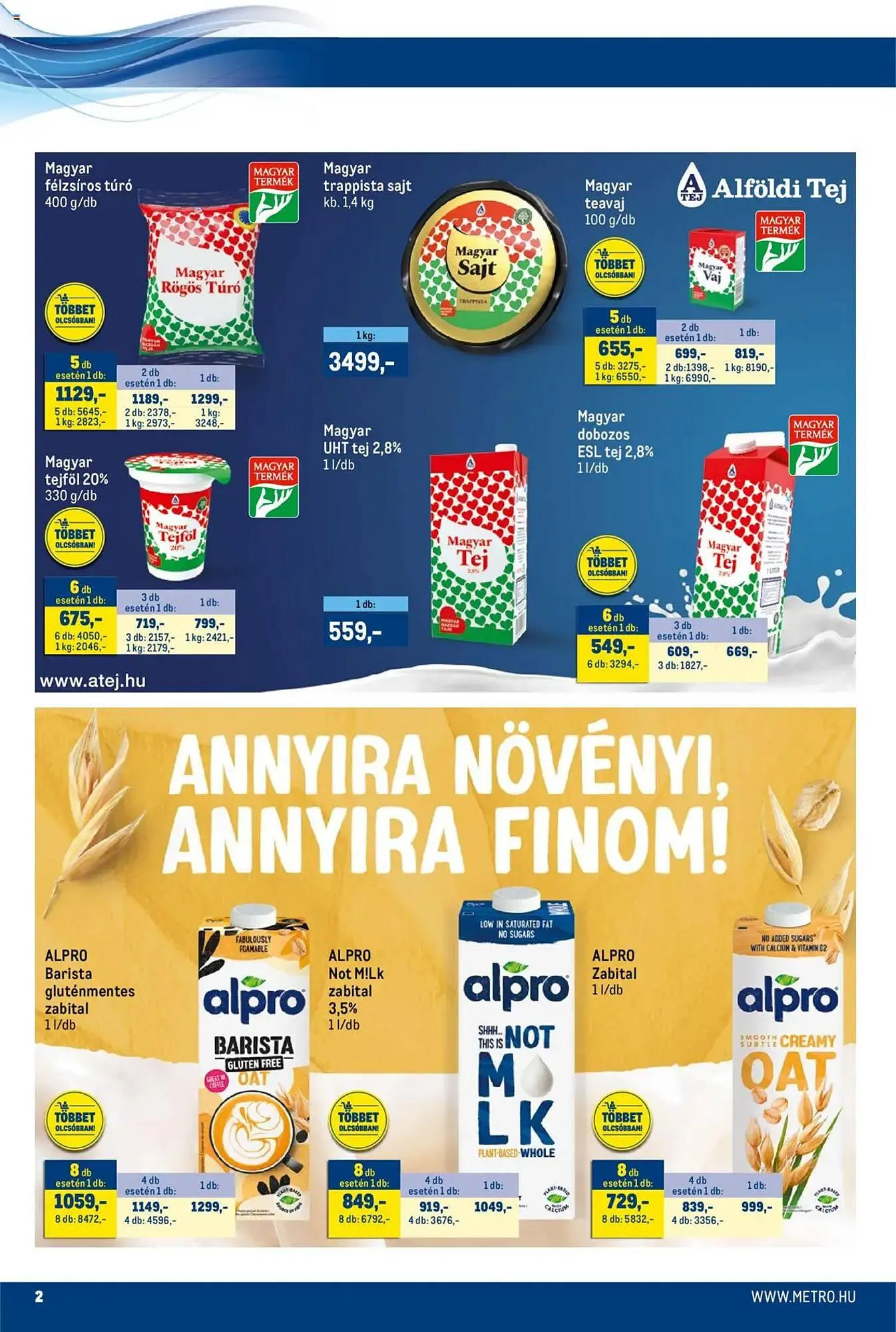 Katalógus Metro akciós újság március 17.-tól március 31.-ig 2025. - Oldal 2