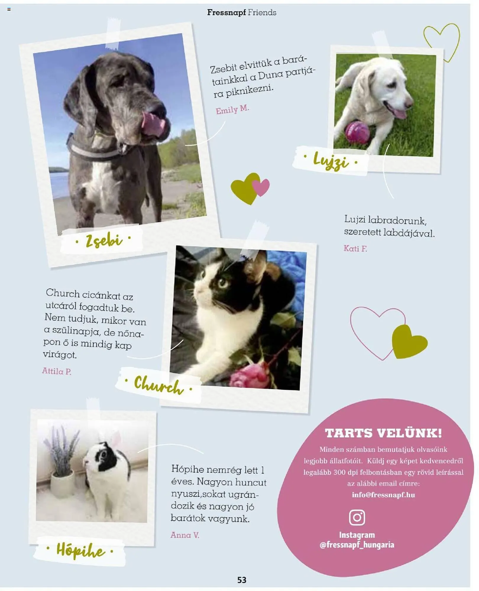 Katalógus Fressnapf akciós újság szeptember 25.-tól november 30.-ig 2023. - Oldal 53