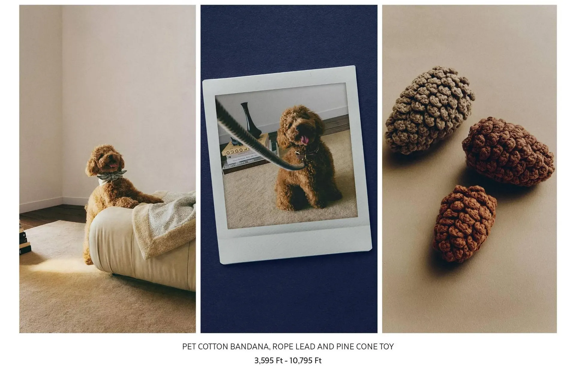 Katalógus Zara Home akciós újság február 26.-tól március 4.-ig 2026. - Oldal 1