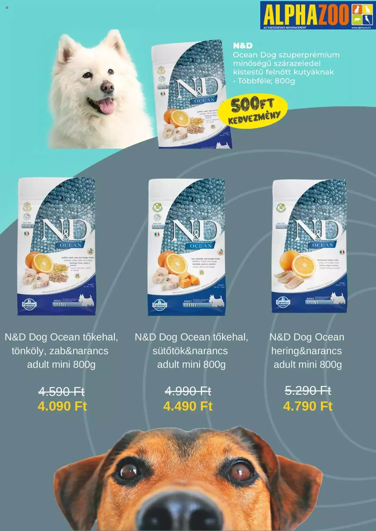 Katalógus AlphaZoo Akciós újság szeptember 25.-tól december 31.-ig 2023. - Oldal 3