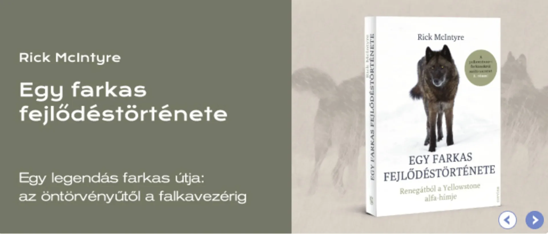 Katalógus Líra akciós újság január 16.-tól január 29.-ig 2026. - Oldal 7