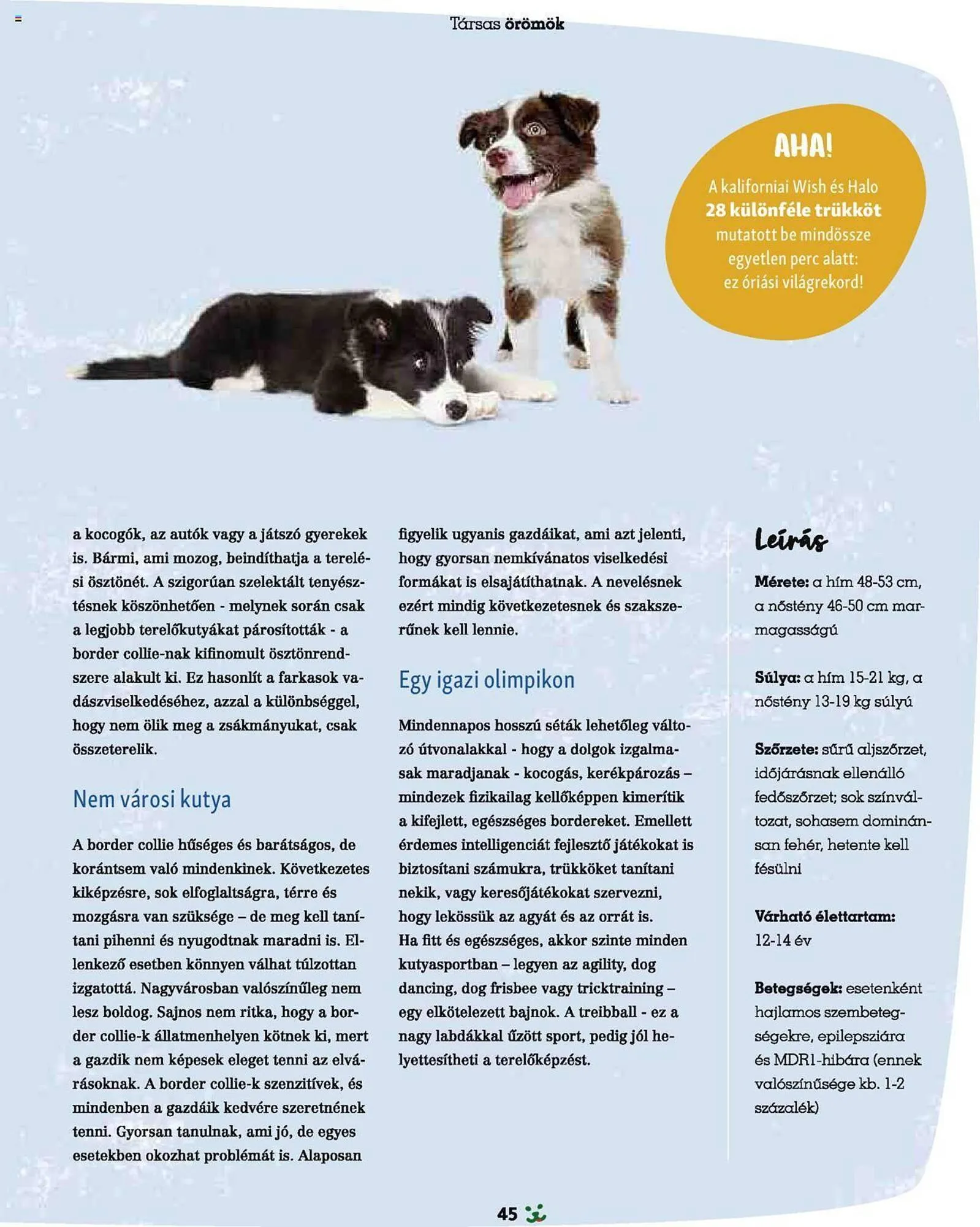 Katalógus Fressnapf akciós újság szeptember 1.-tól november 30.-ig 2024. - Oldal 45