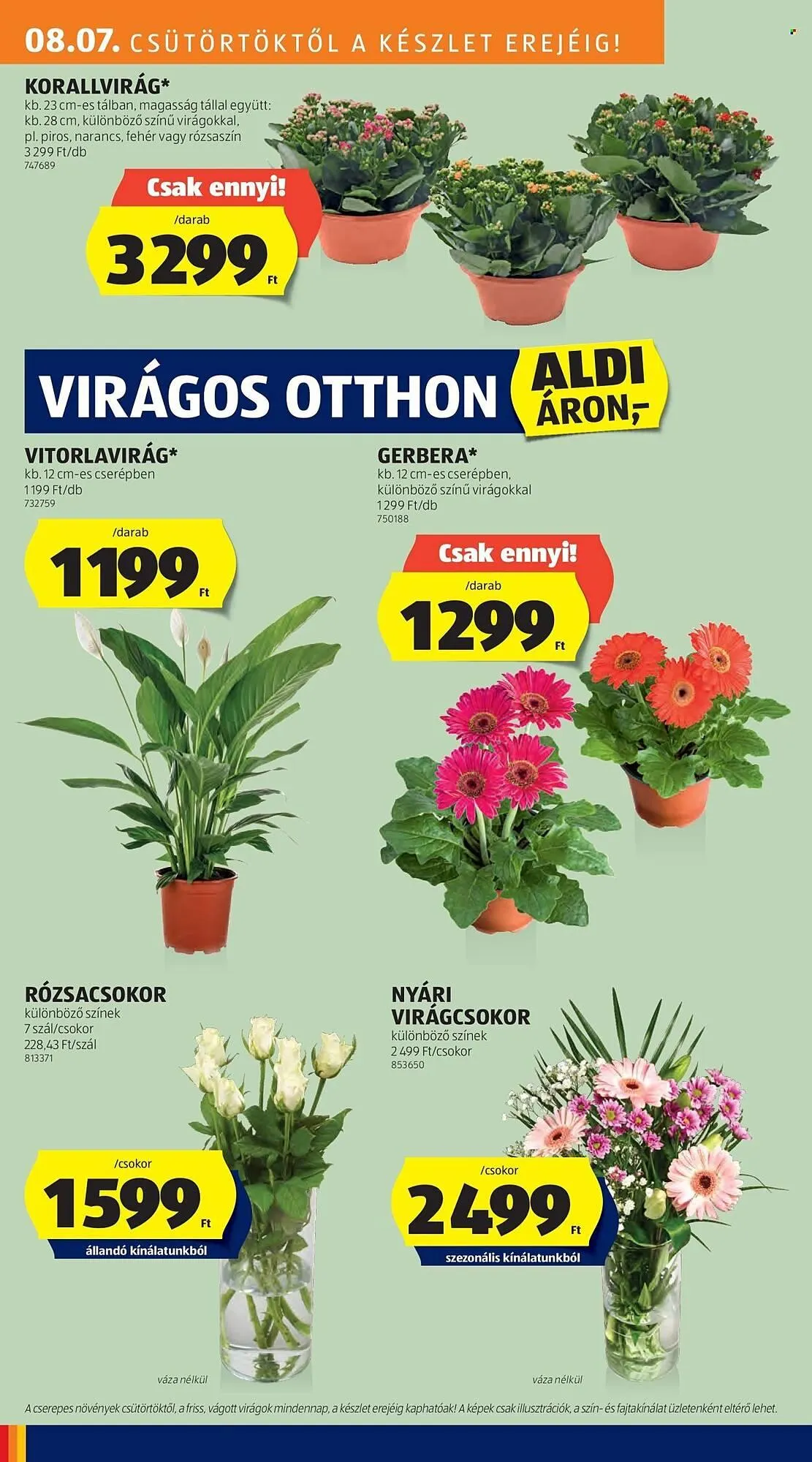 Katalógus ALDI akciós újság augusztus 7.-tól augusztus 13.-ig 2025. - Oldal 28