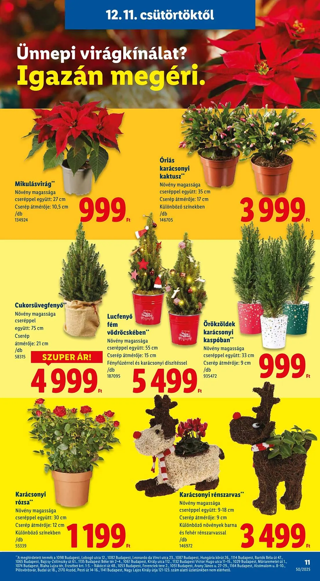 Katalógus Lidl akciós újság december 11.-tól december 17.-ig 2025. - Oldal 11