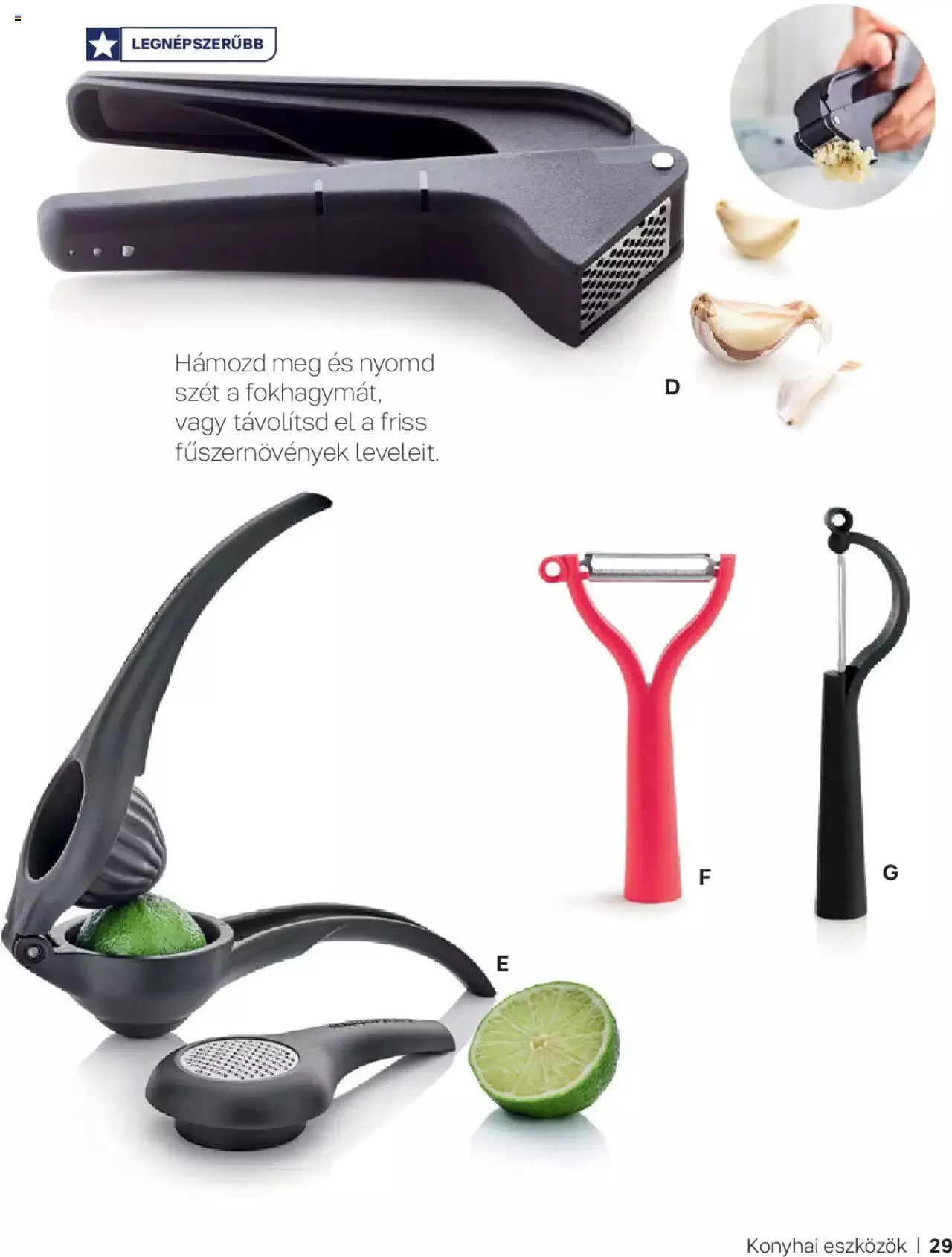 Katalógus Tupperware - Őszi & Téli Katalógus 2023/24 szeptember 1.-tól december 31.-ig 2023. - Oldal 29