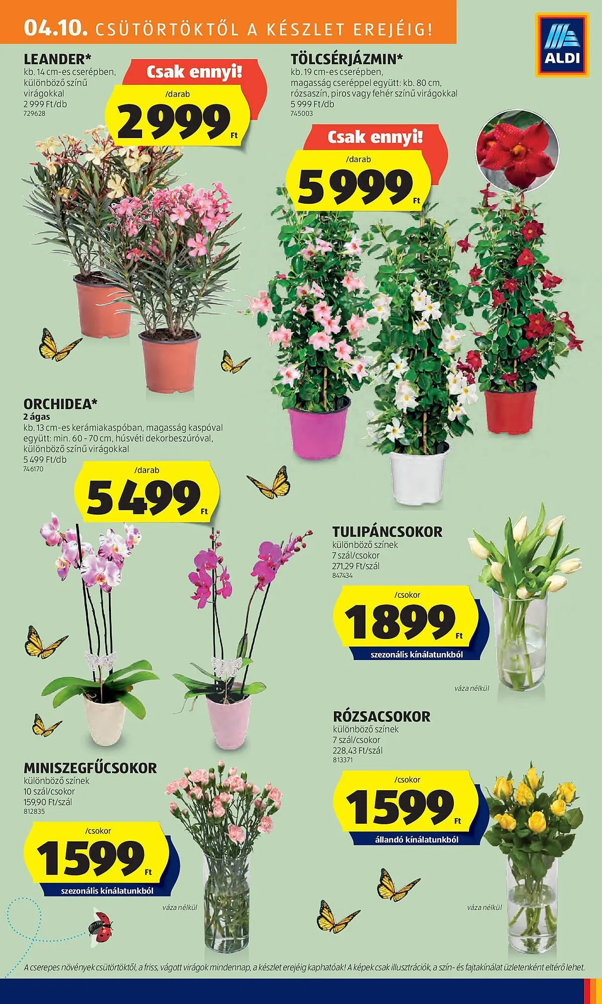 Katalógus ALDI akciós újság április 10.-tól április 16.-ig 2025. - Oldal 35