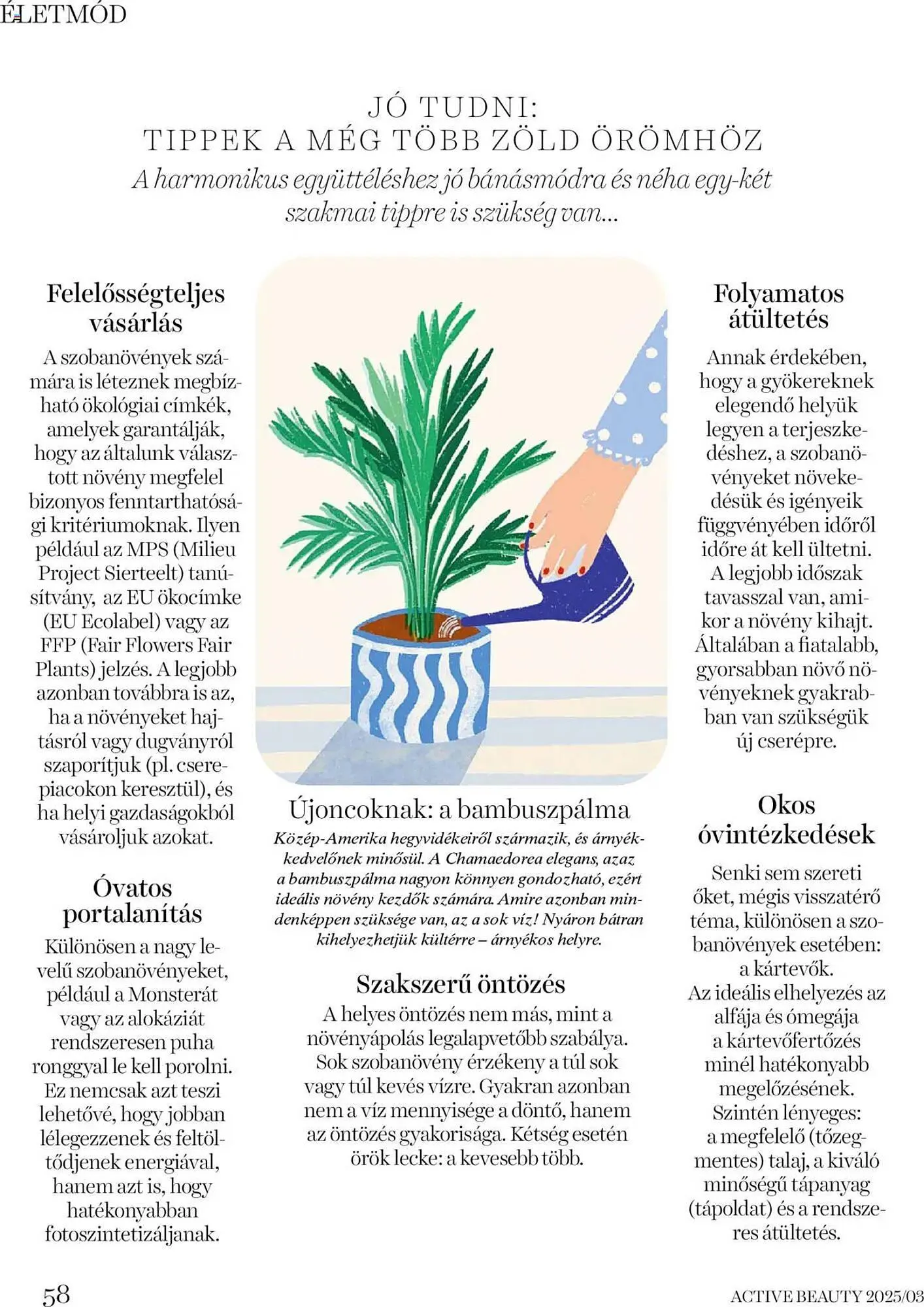 Katalógus DM akciós újság március 20.-tól március 27.-ig 2025. - Oldal 58