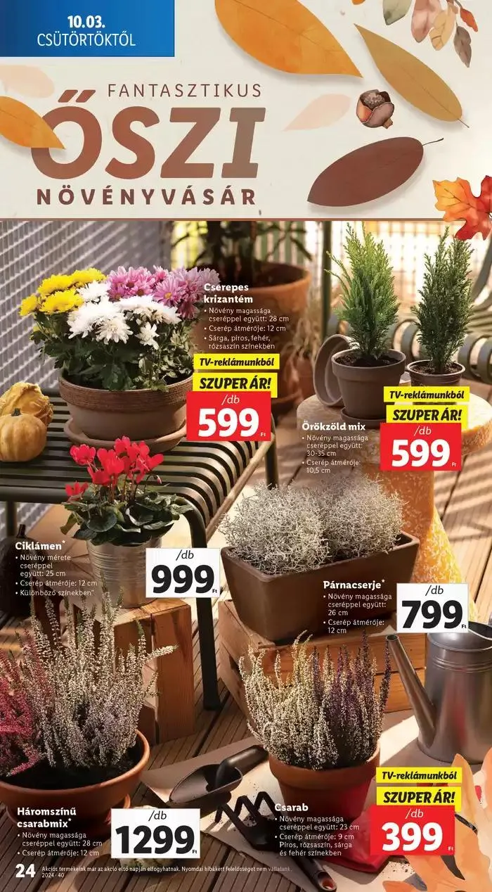 Katalógus Akciós újság – 40. hét október 3.-tól október 9.-ig 2024. - Oldal 24