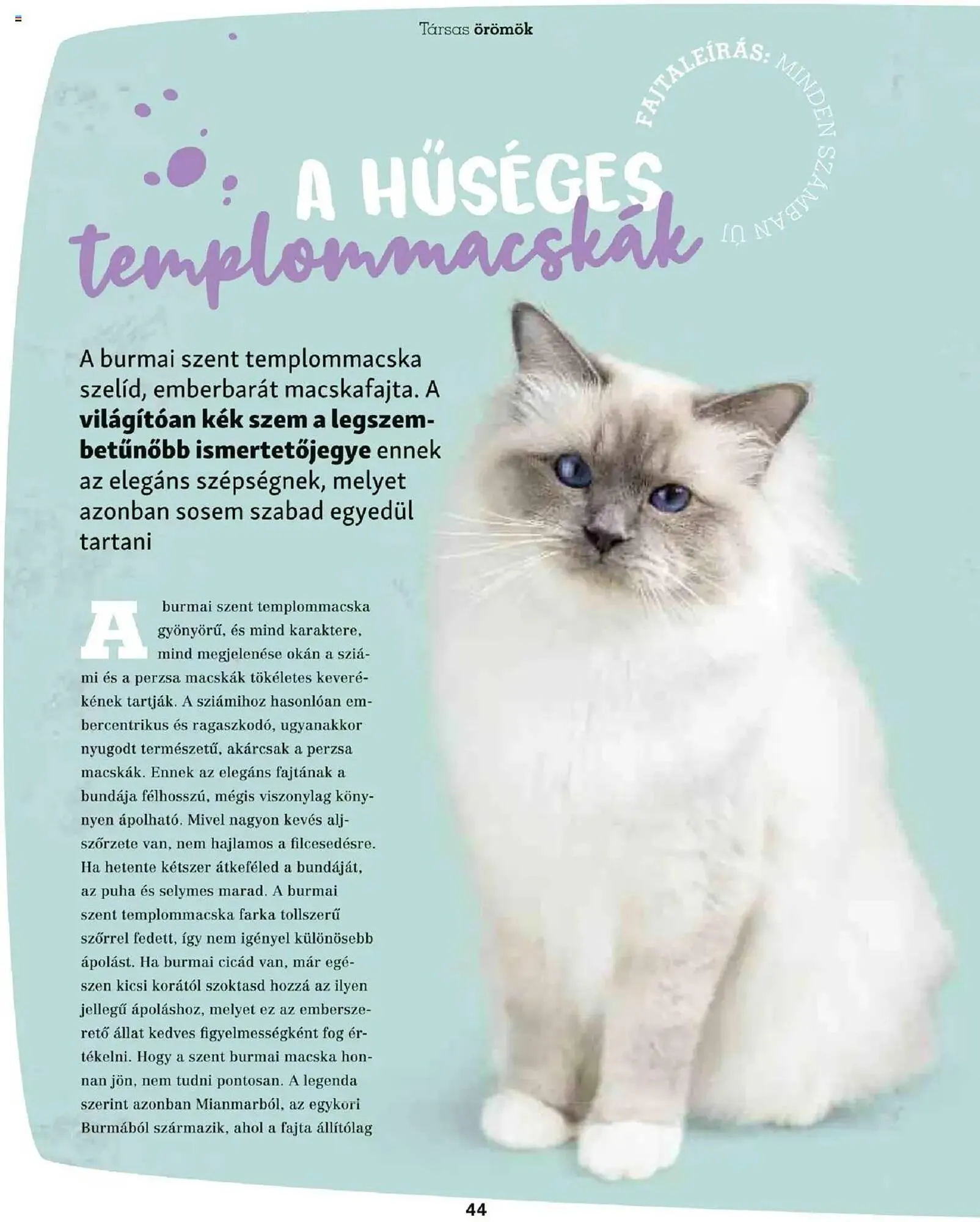 Katalógus Fressnapf akciós újság május 5.-tól május 13.-ig 2025. - Oldal 44