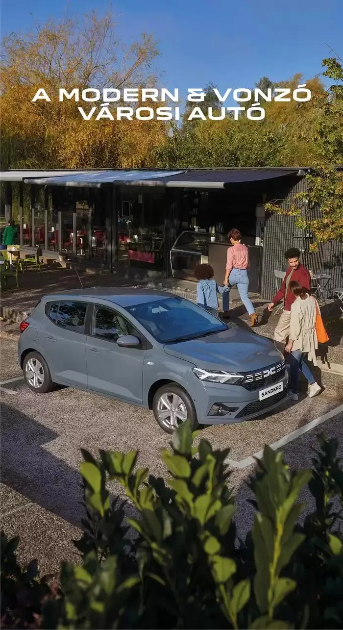 Katalógus Sandero január 3.-tól június 30.-ig 2025. - Oldal 3