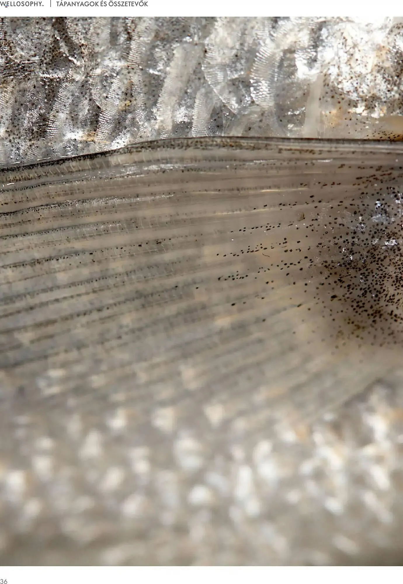 Katalógus Oriflame katalógus január 2.-tól december 31.-ig 2026. - Oldal 36