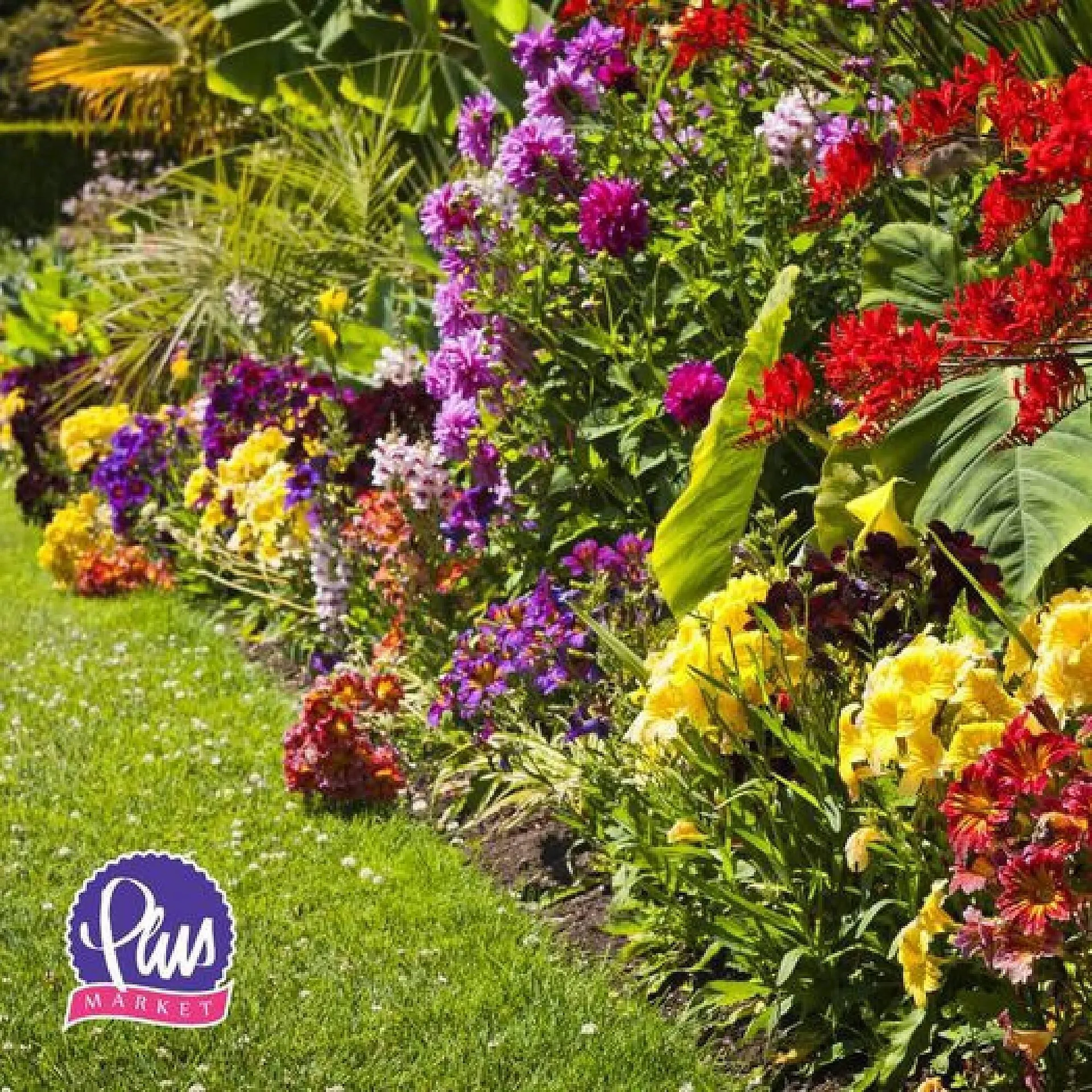 Katalógus PlusMarket akciós újság július 29.-tól augusztus 4.-ig 2024. - Oldal 4