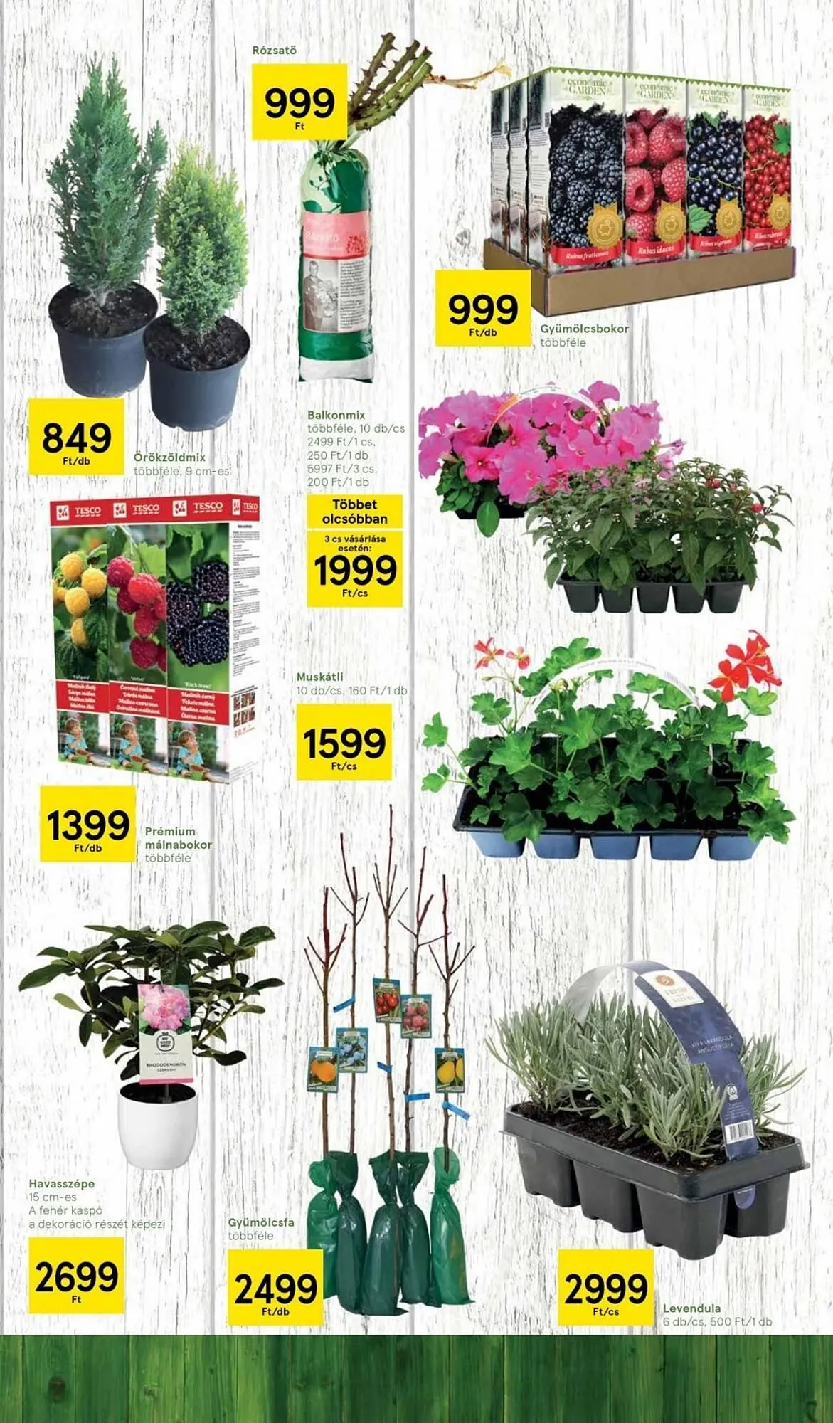 Katalógus Tesco akciós újság március 5.-tól április 1.-ig 2025. - Oldal 17