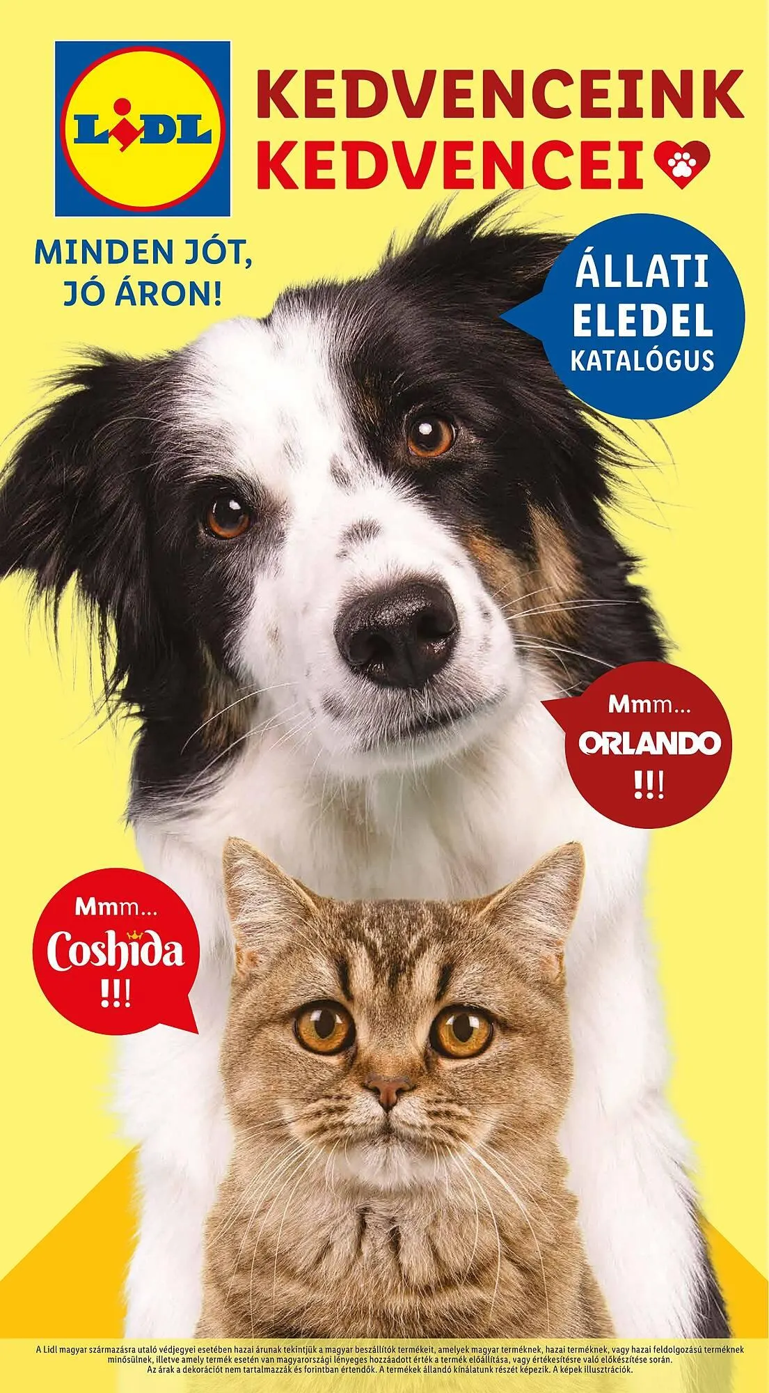 Katalógus Lidl akciós újság április 24.-tól június 17.-ig 2025. - Oldal 22