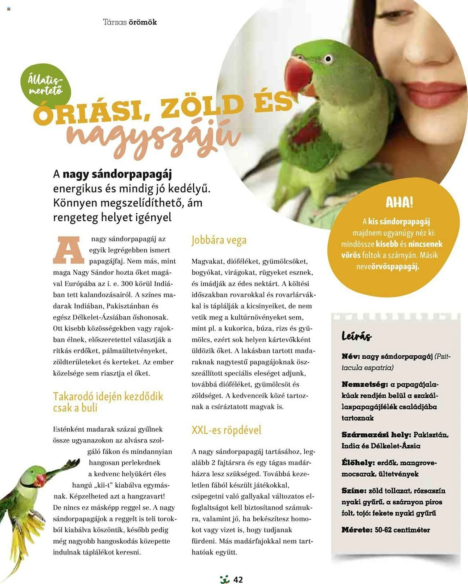 Katalógus Fressnapf akciós újság szeptember 1.-tól november 30.-ig 2024. - Oldal 42