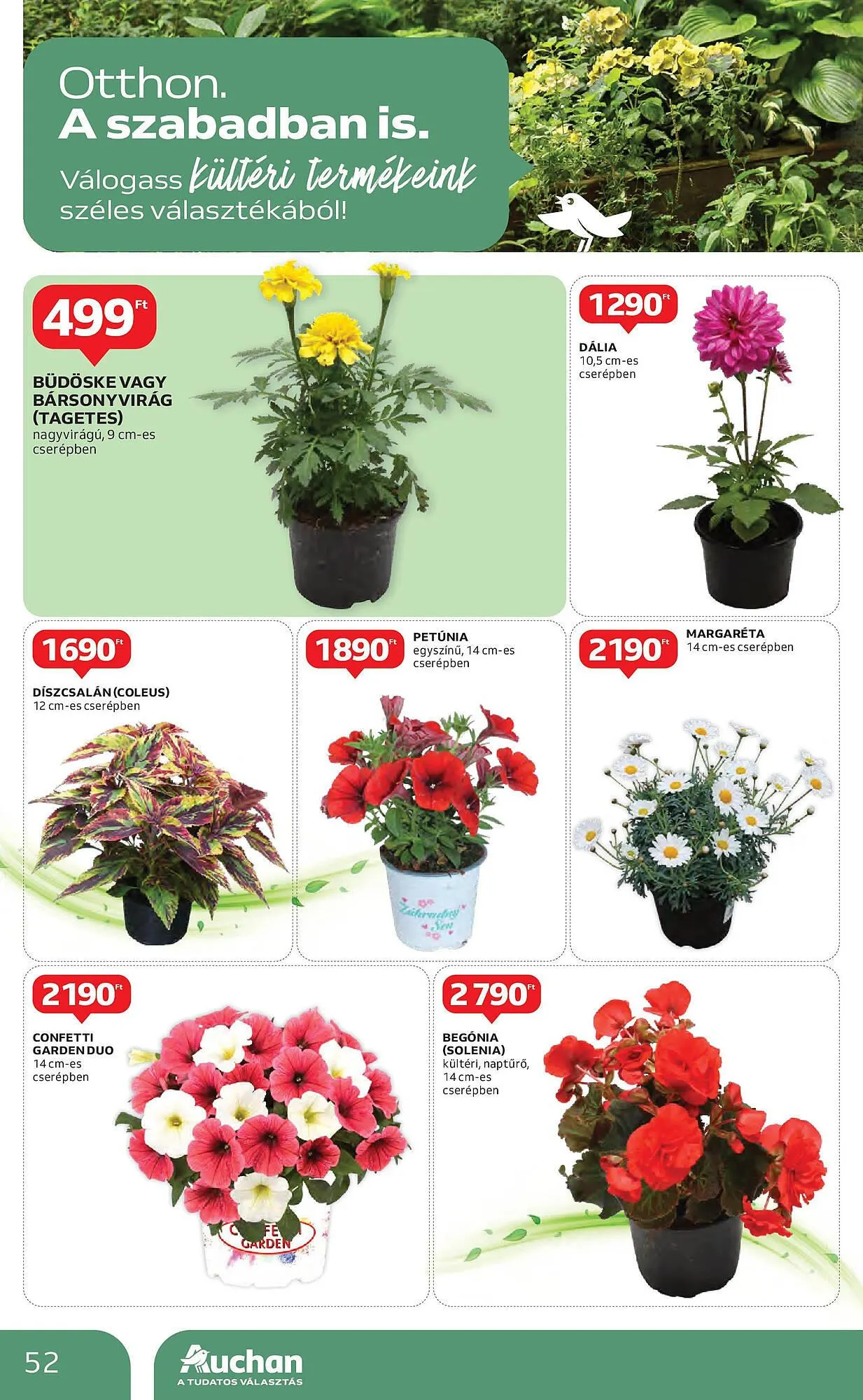 Katalógus Auchan akciós újság május 8.-tól május 14.-ig 2025. - Oldal 52