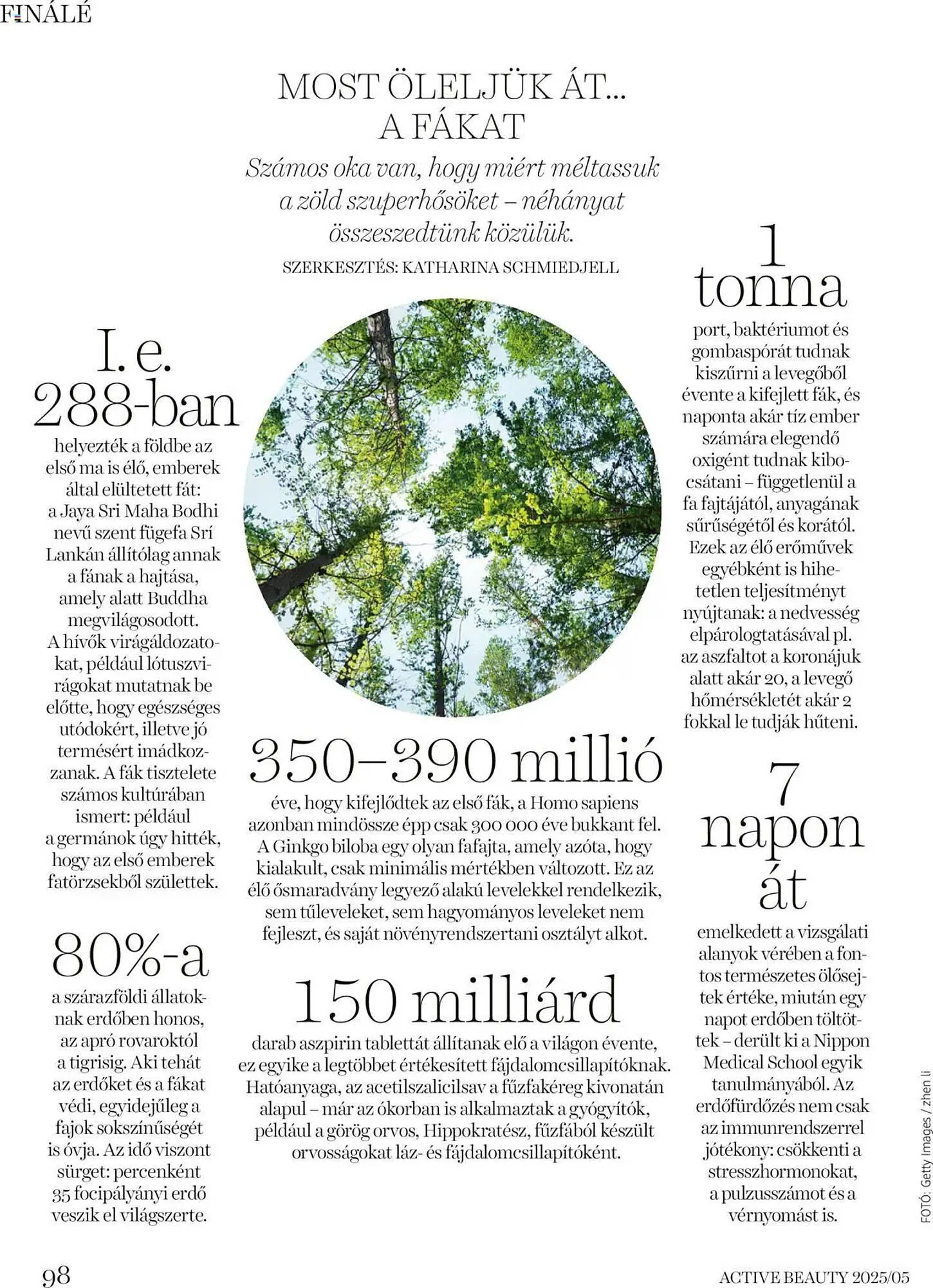Katalógus DM akciós újság május 22.-tól június 19.-ig 2025. - Oldal 98