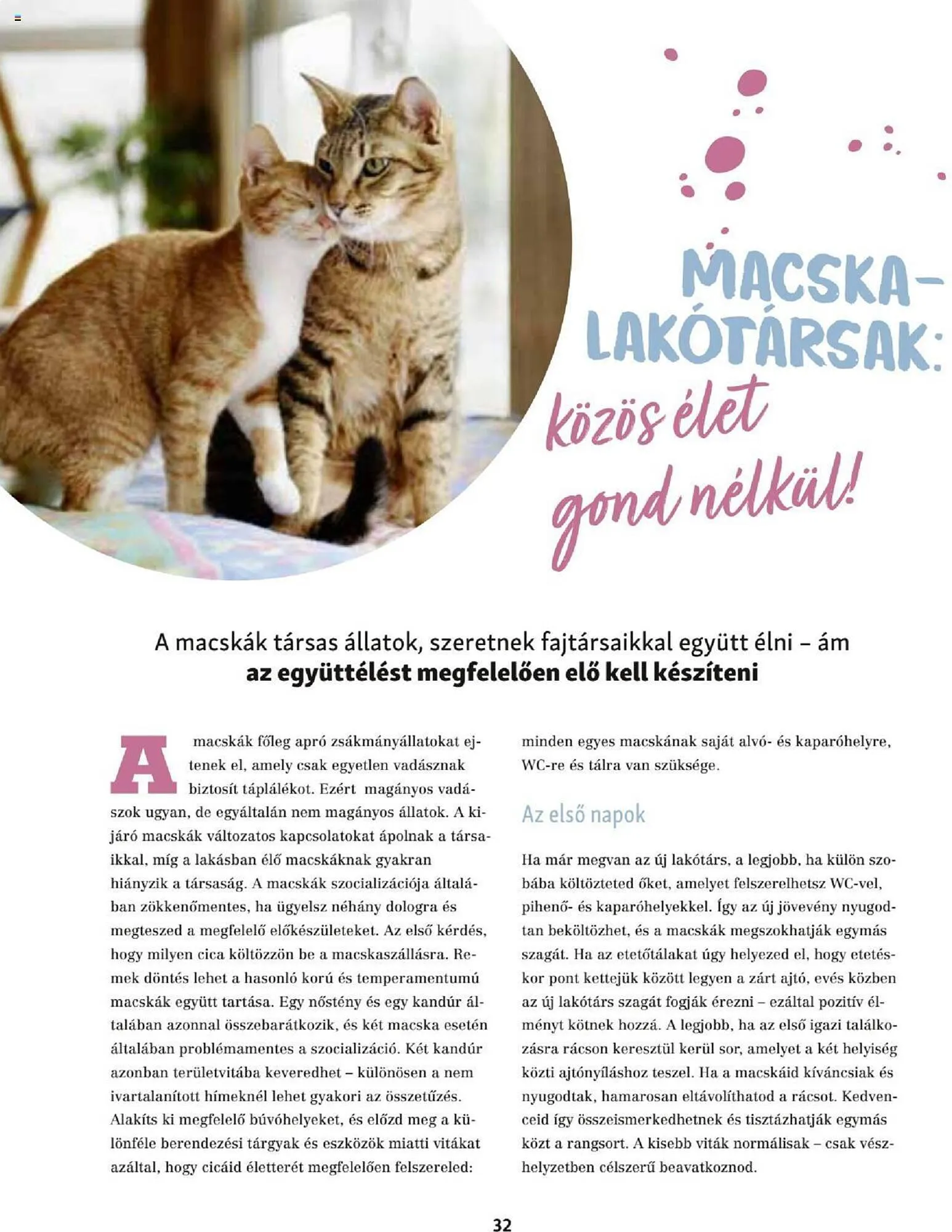 Katalógus Fressnapf akciós újság szeptember 25.-tól november 30.-ig 2023. - Oldal 32