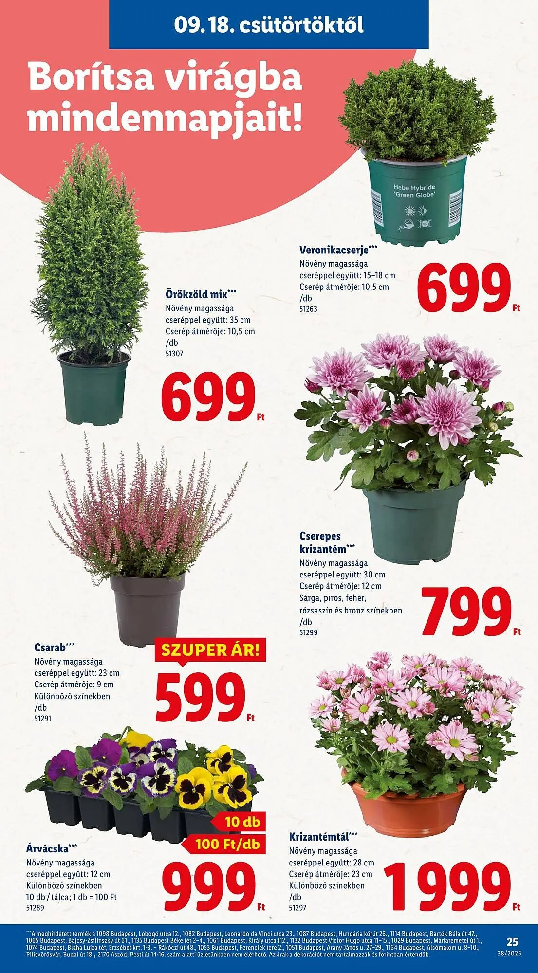 Katalógus Lidl akciós újság szeptember 11.-tól december 31.-ig 2025. - Oldal 25