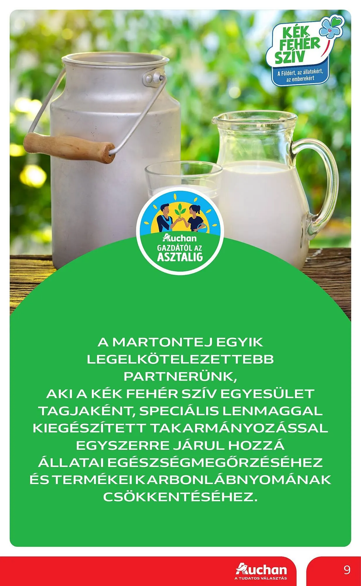 Katalógus Auchan akciós újság május 8.-tól május 21.-ig 2025. - Oldal 9