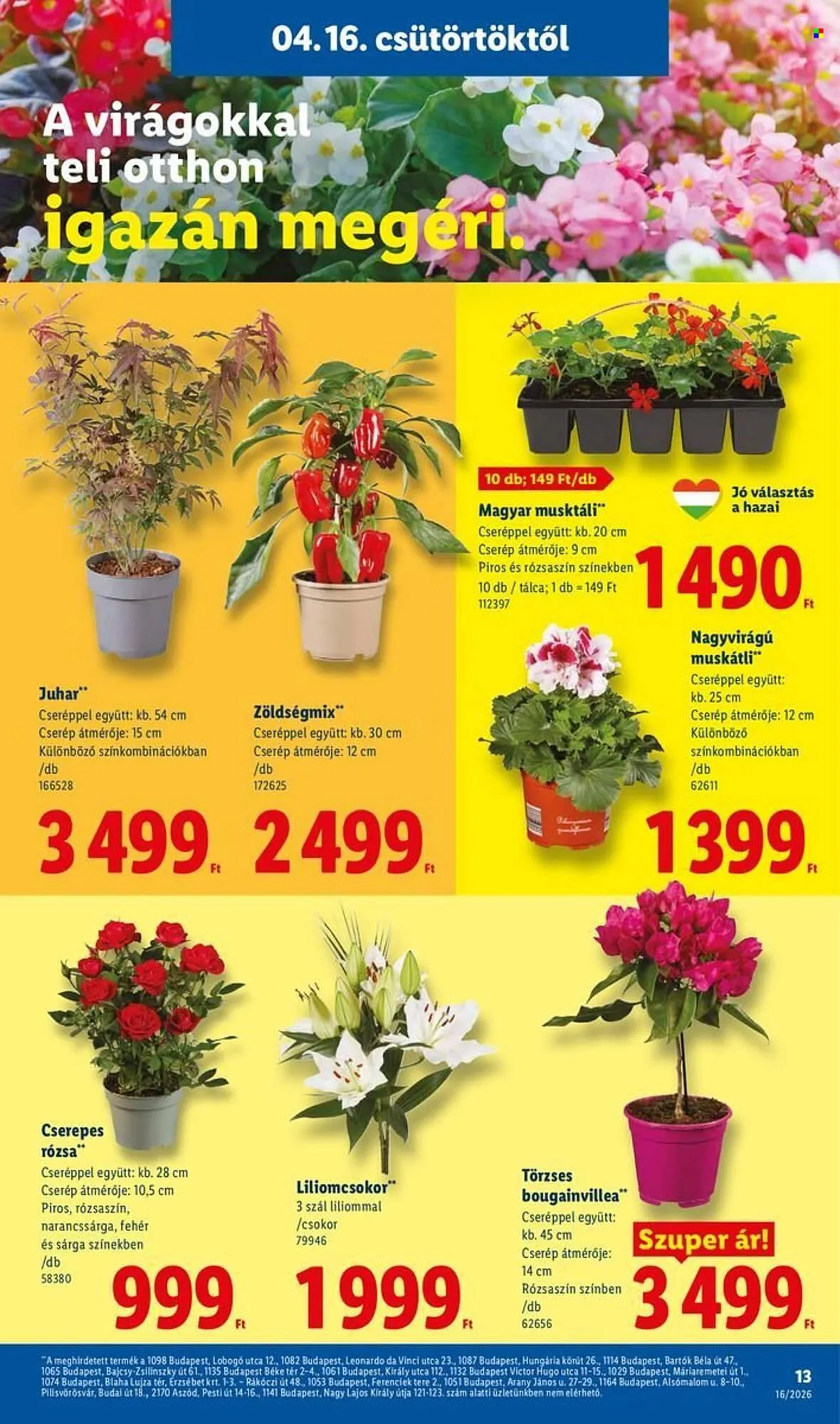 Katalógus Lidl akciós újság április 16.-tól április 22.-ig 2026. - Oldal 13