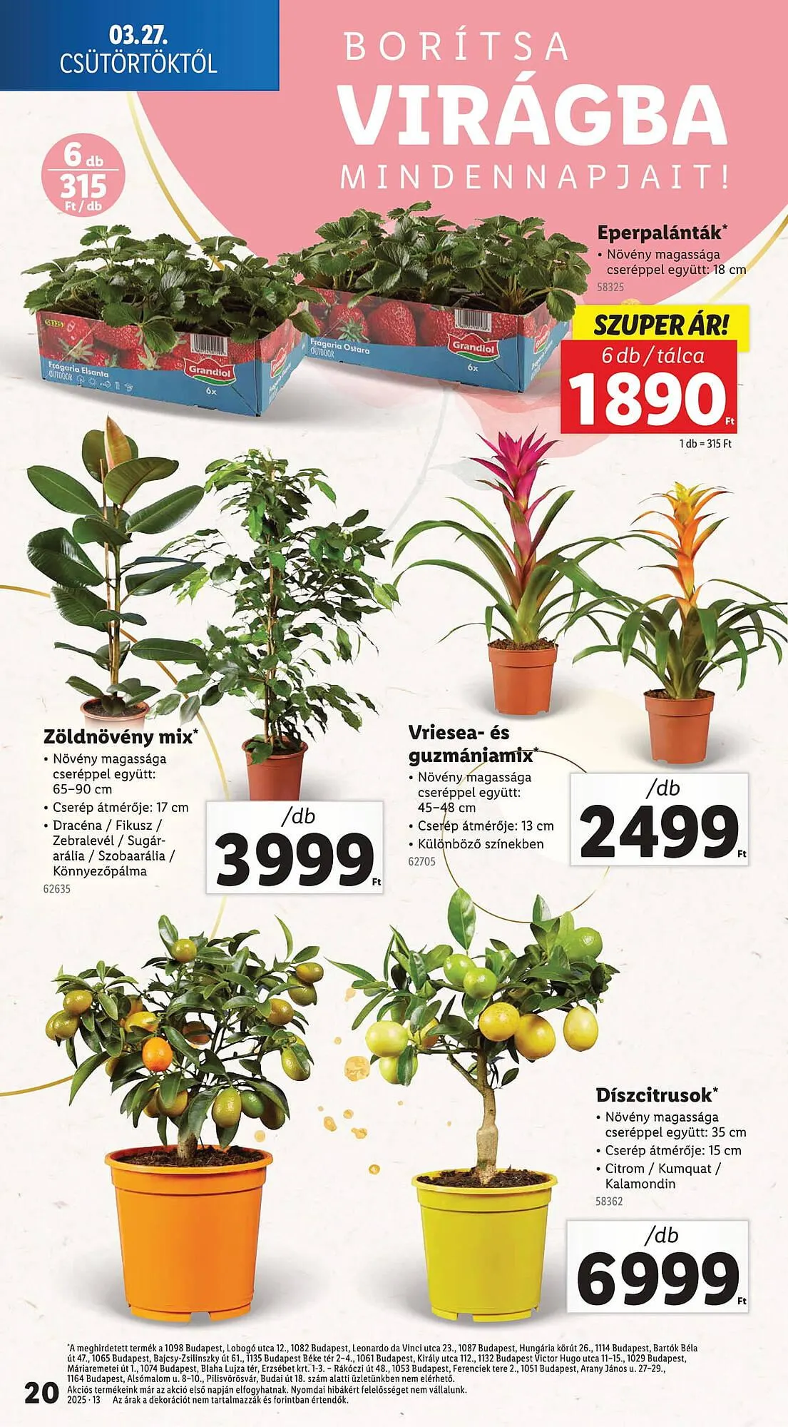 Katalógus Lidl akciós újság március 27.-tól április 2.-ig 2025. - Oldal 20