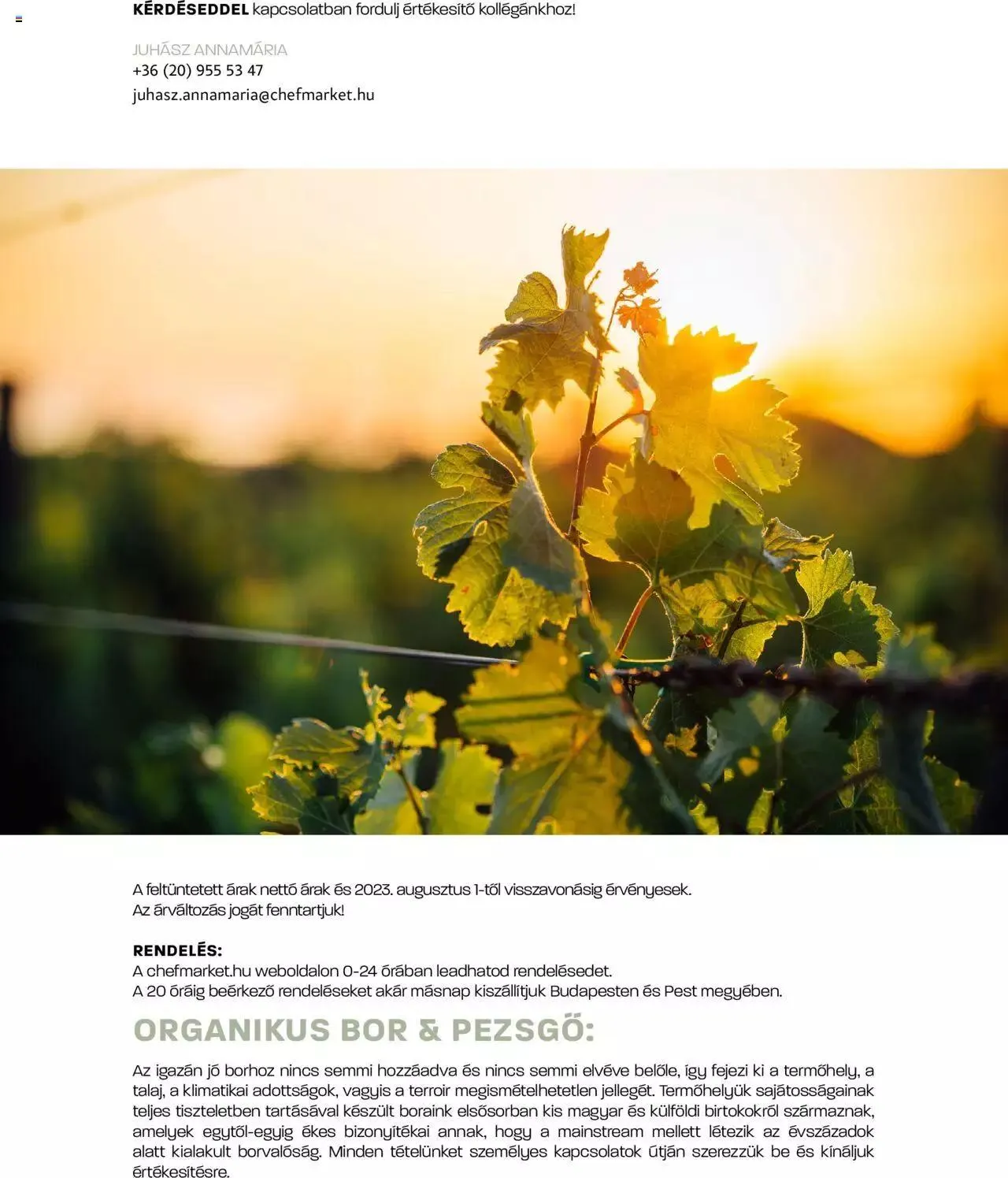 Katalógus Chef Market BOR & PEZSGŐ augusztus 11.-tól december 31.-ig 2023. - Oldal 17