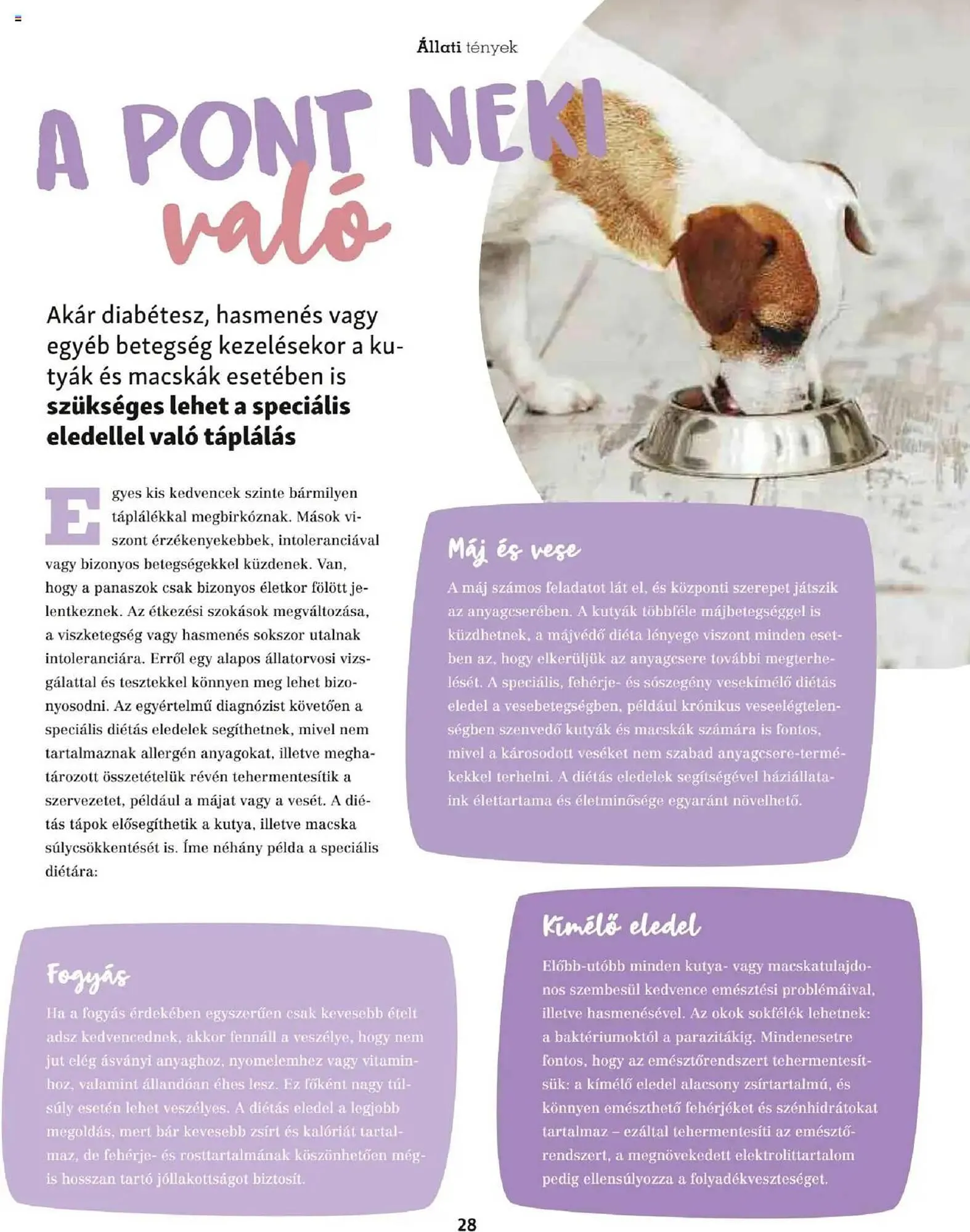 Katalógus Fressnapf akciós újság május 5.-tól május 13.-ig 2025. - Oldal 28