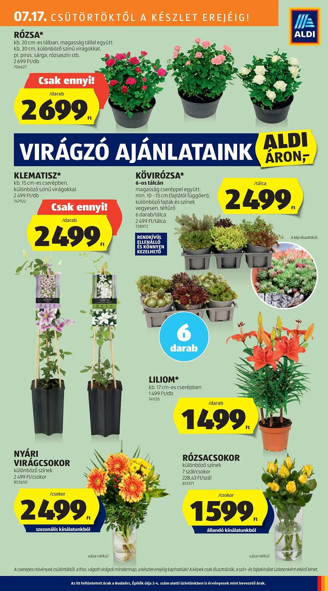 Katalógus ALDI akciós újság július 17.-tól július 20.-ig 2025. - Oldal 11