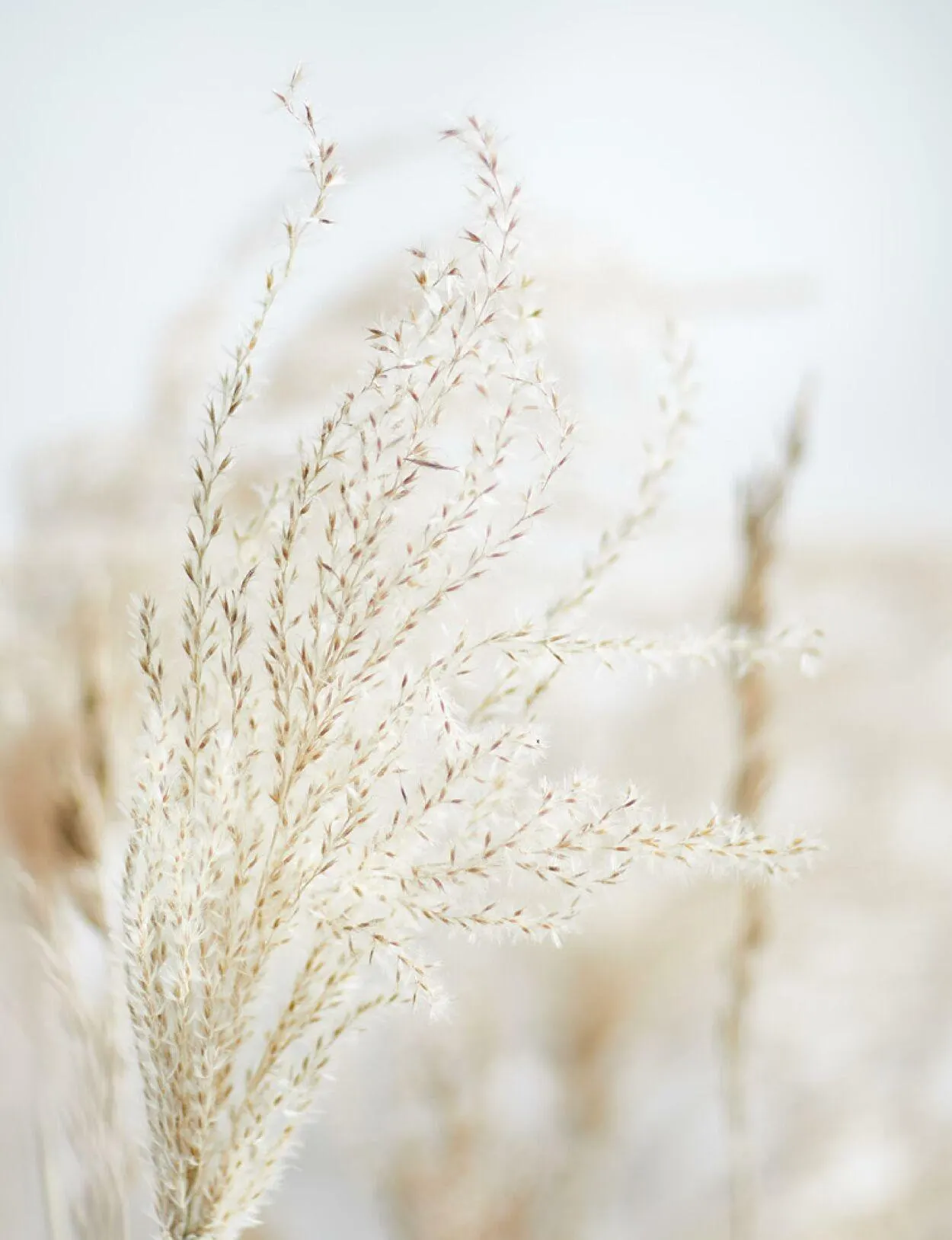 Katalógus Butlers március 14.-tól december 31.-ig 2023. - Oldal 41