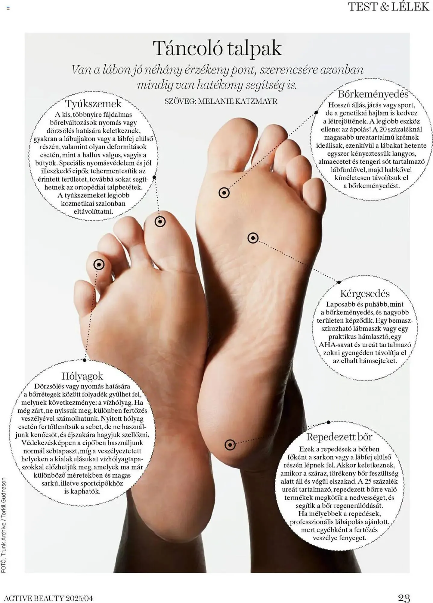 Katalógus DM akciós újság április 16.-tól április 24.-ig 2025. - Oldal 23