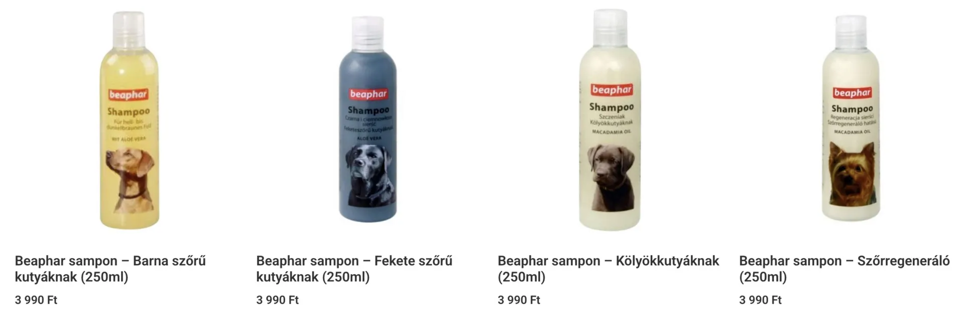 Zooling akciós újság - 1