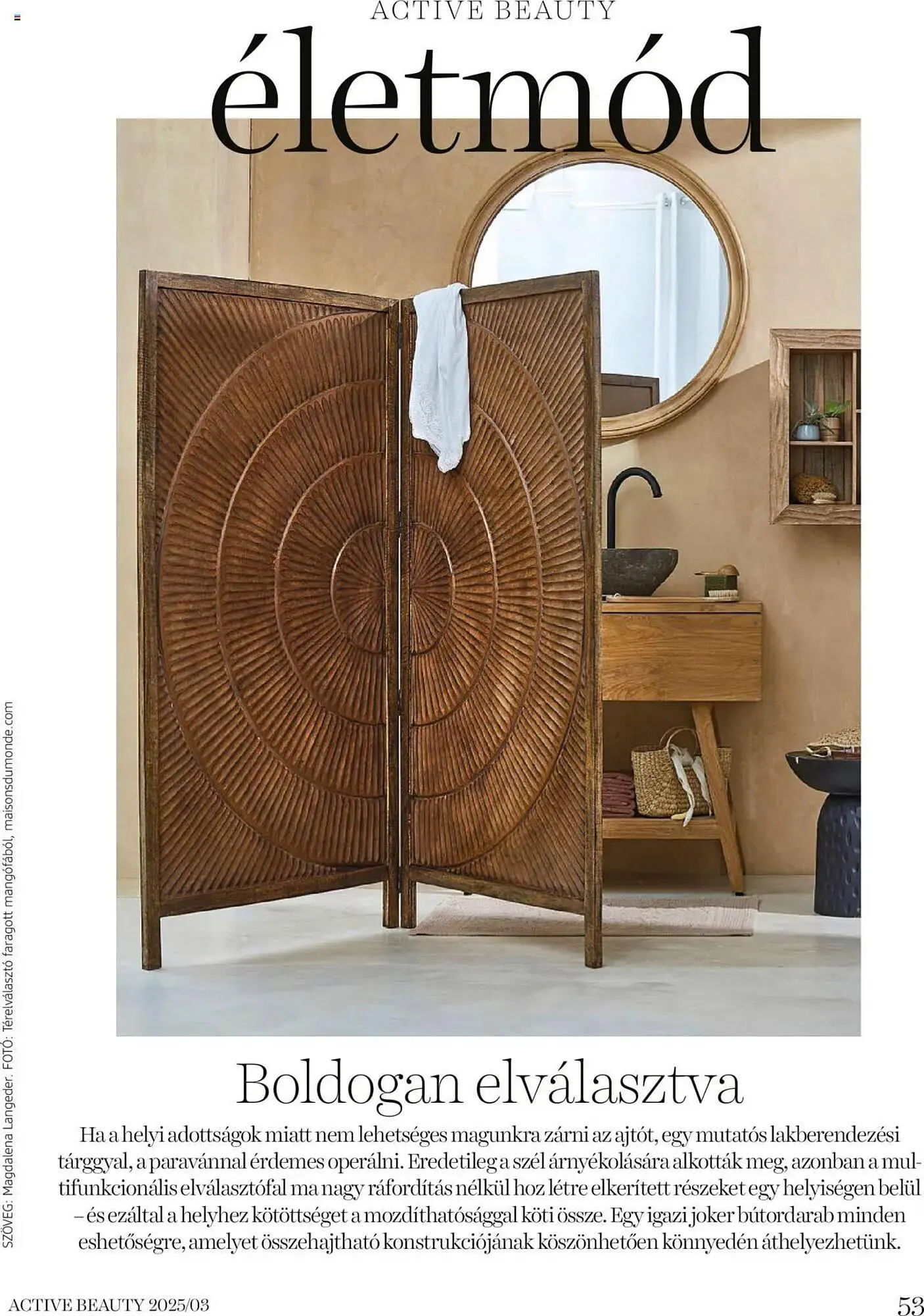 Katalógus DM akciós újság március 20.-tól március 27.-ig 2025. - Oldal 53