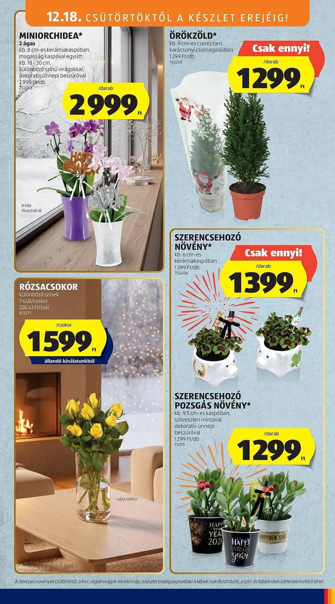 Katalógus ALDI akciós újság december 18.-tól december 18.-ig 2025. - Oldal 9