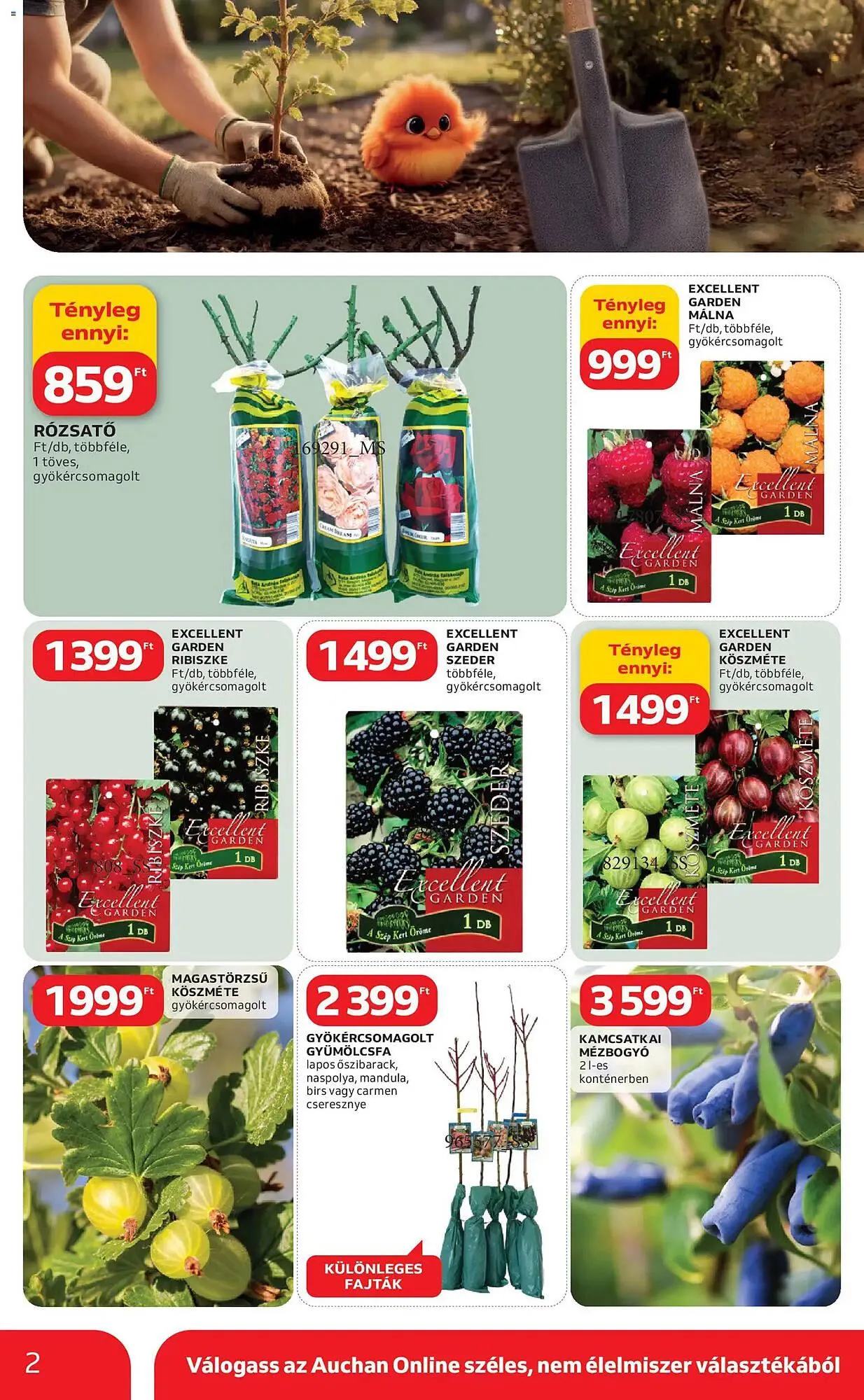 Katalógus Auchan akciós újság március 5.-tól április 4.-ig 2026. - Oldal 2