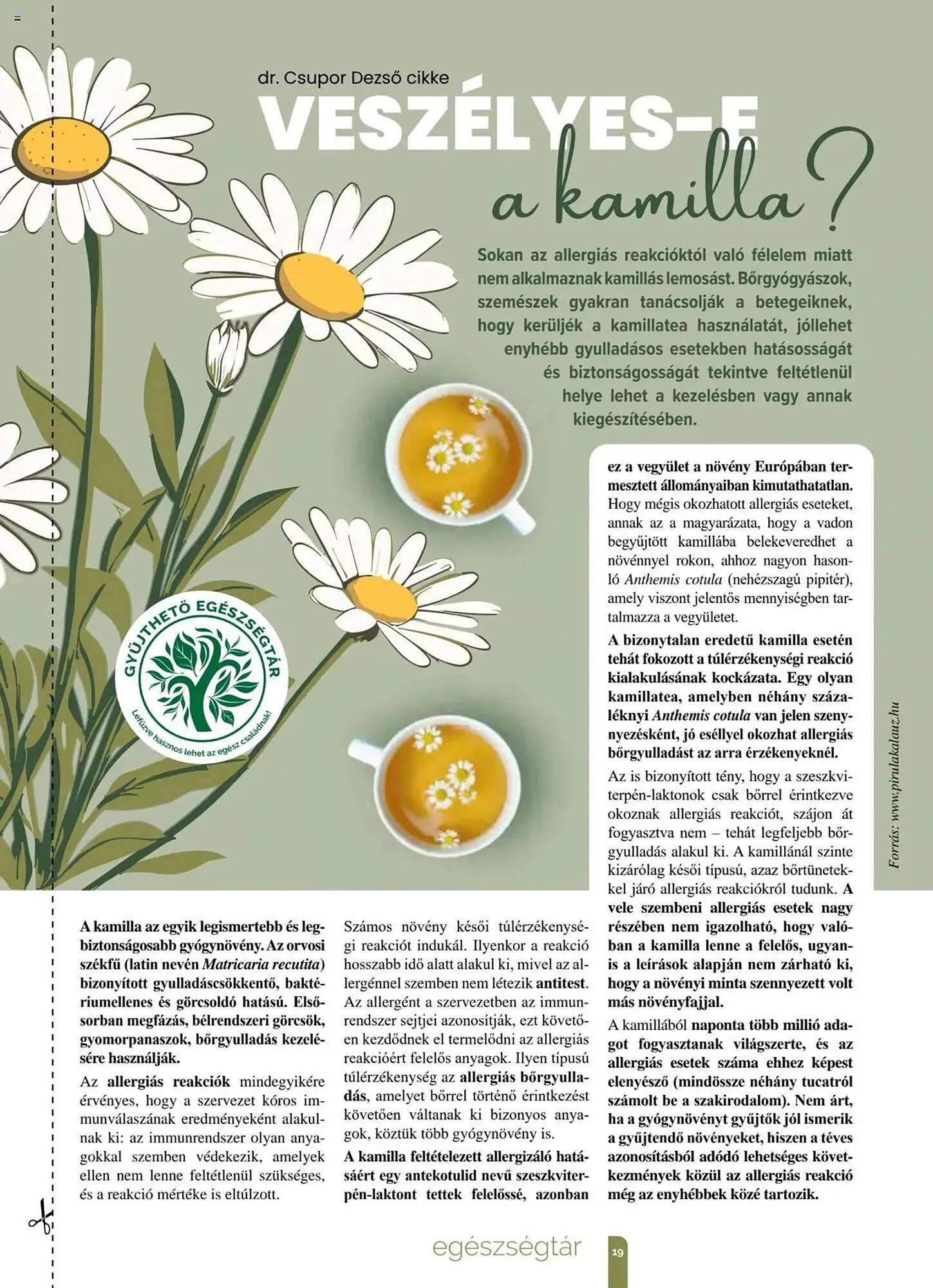 Katalógus Pingvin Patika akciós újság március 1.-tól március 31.-ig 2025. - Oldal 19