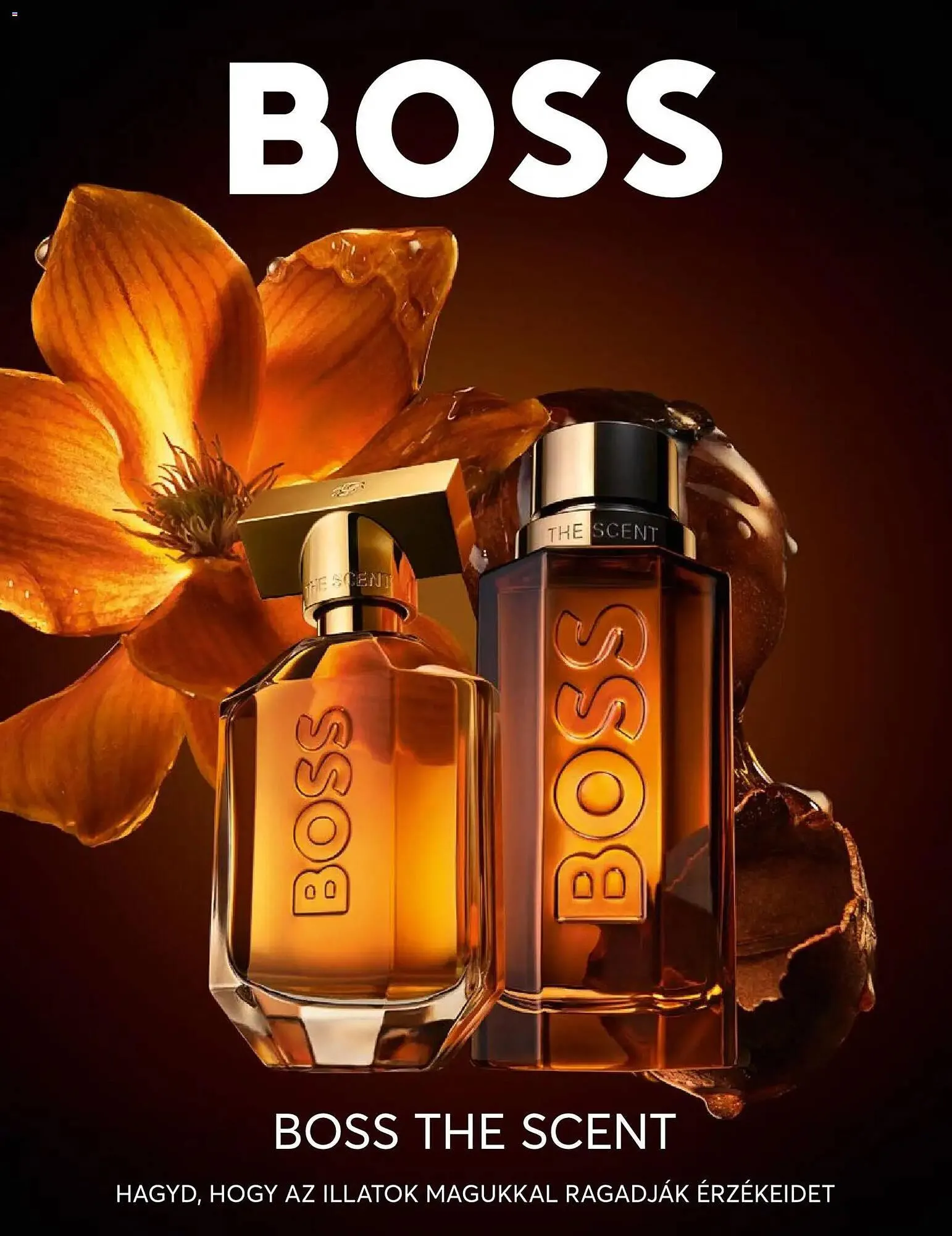 Katalógus Müller akciós újság február 2.-tól február 28.-ig 2026. - Oldal 31