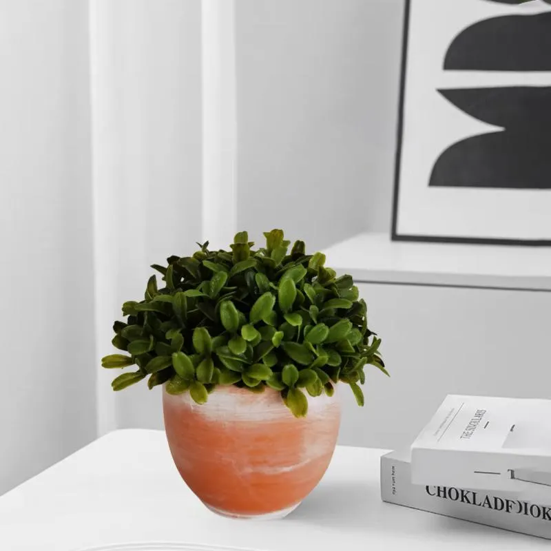 Puszpáng cserepes művirág