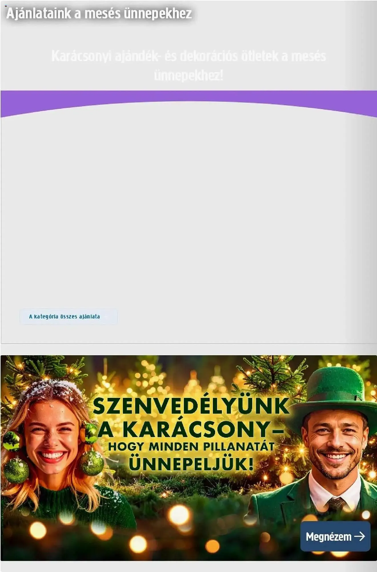 Katalógus Praktiker akciós újság november 6.-tól december 8.-ig 2025. - Oldal 2