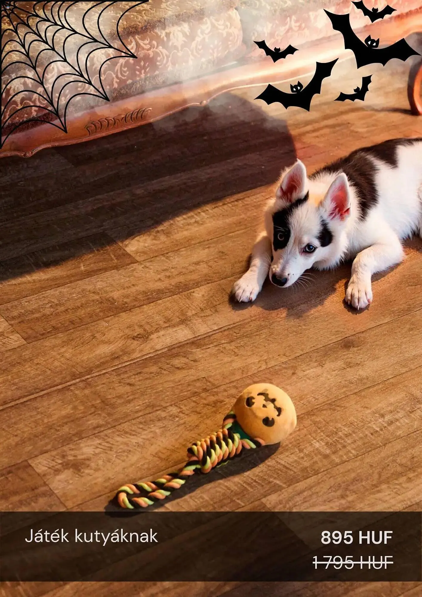 Katalógus Sinsay akciós újság október 21.-tól november 20.-ig 2025. - Oldal 15