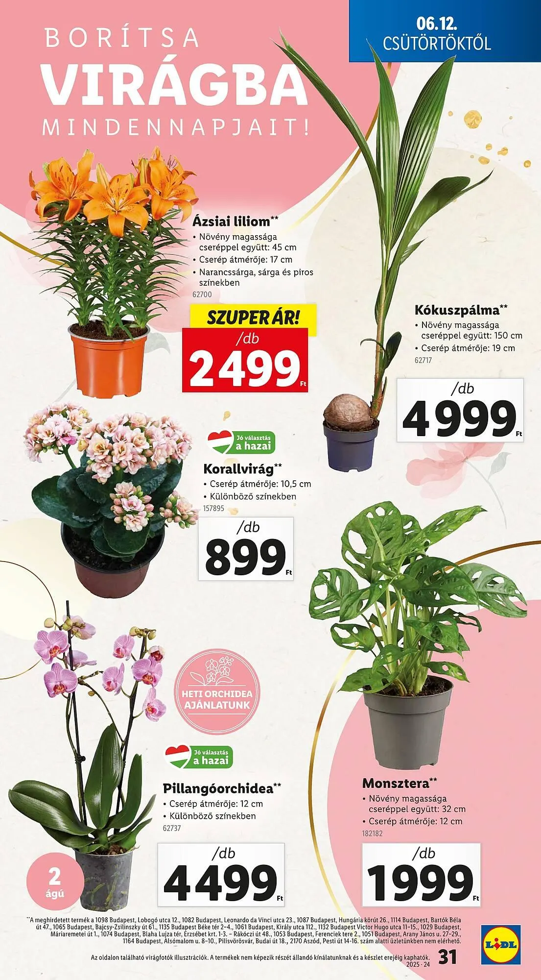 Katalógus Lidl akciós újság június 12.-tól június 18.-ig 2025. - Oldal 31