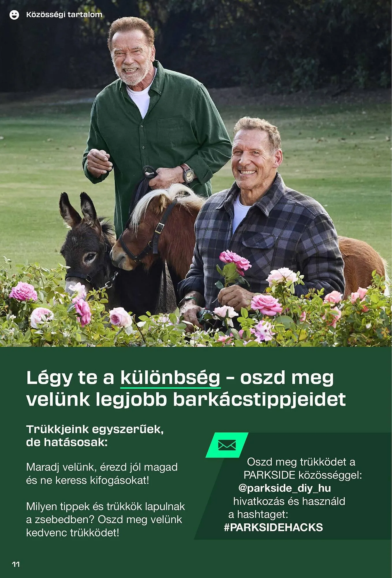 Katalógus Pick-Lidl Nyereményjáték 2025.09.24 akciós újság augusztus 30.-tól december 31.-ig 2025. - Oldal 11