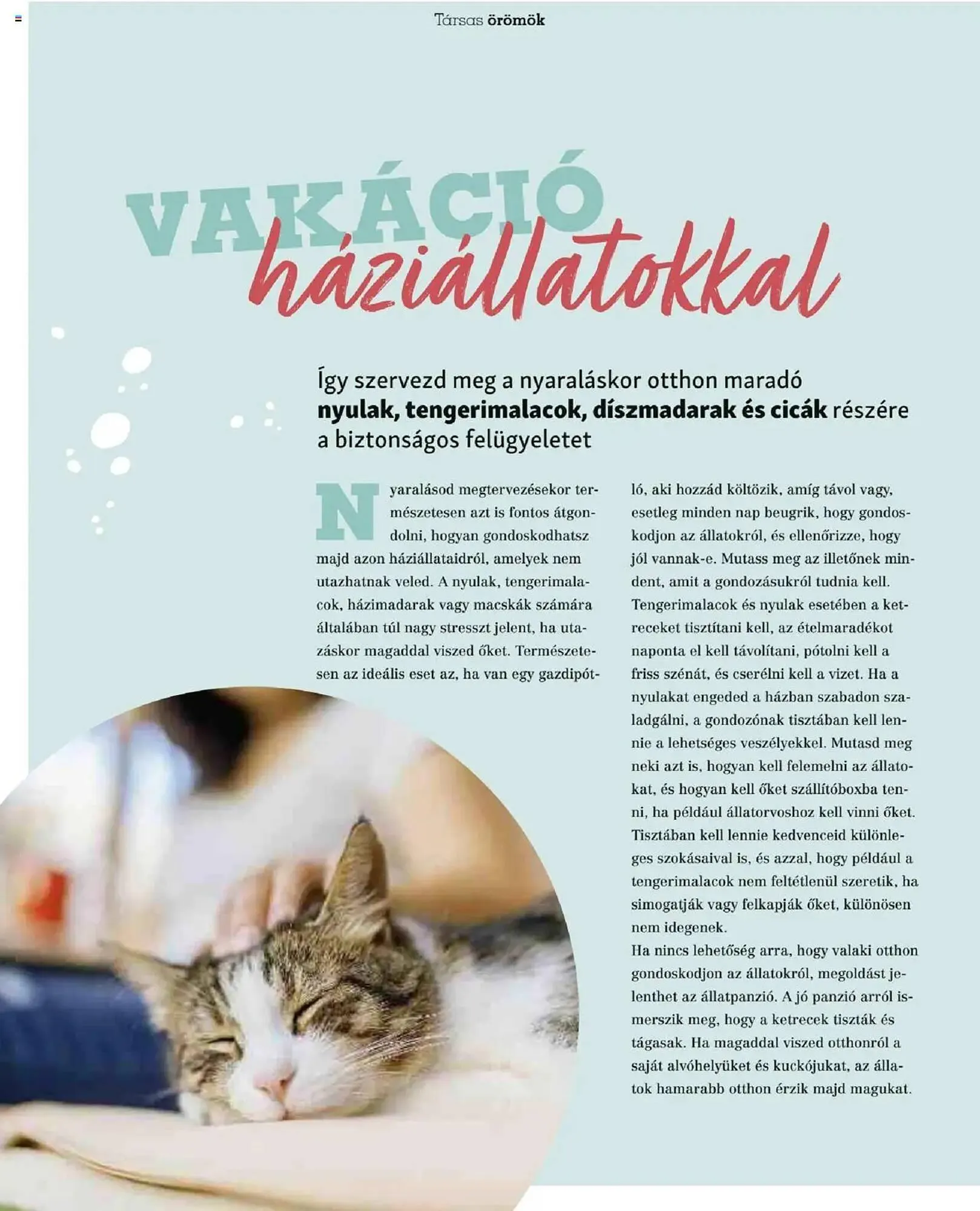 Katalógus Fressnapf akciós újság május 5.-tól május 13.-ig 2025. - Oldal 40