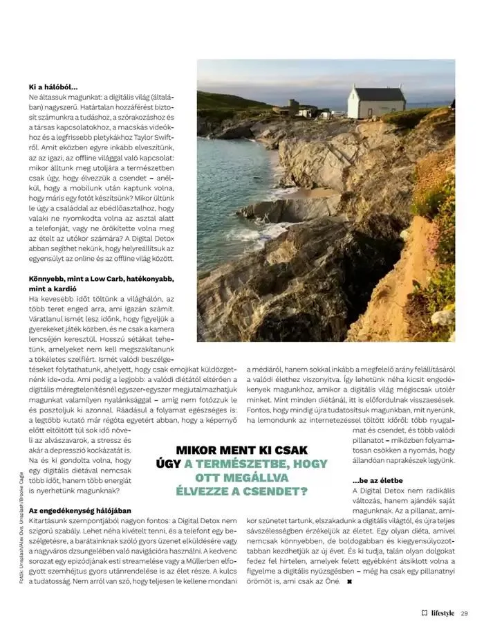 Katalógus Fedezze fel a vonzó ajánlatokat február 3.-tól február 17.-ig 2025. - Oldal 29