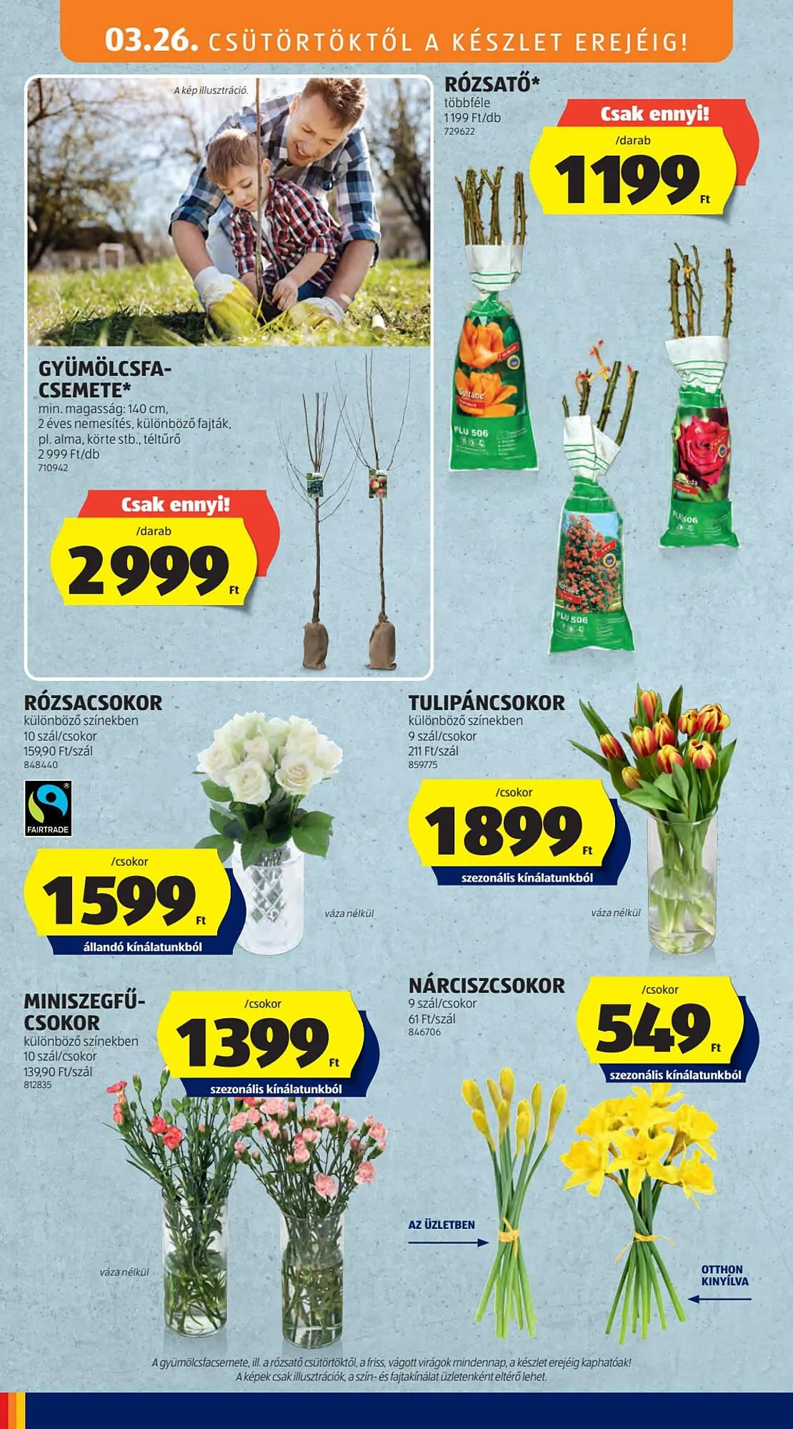 Katalógus ALDI akciós újság március 26.-tól március 30.-ig 2026. - Oldal 10