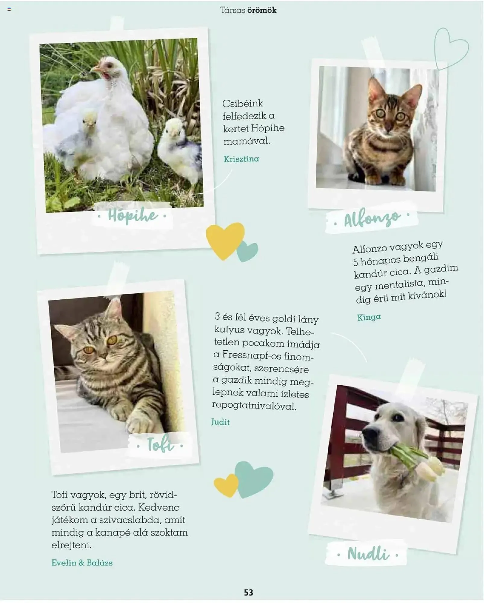 Katalógus Fressnapf akciós újság május 5.-tól augusztus 31.-ig 2025. - Oldal 53